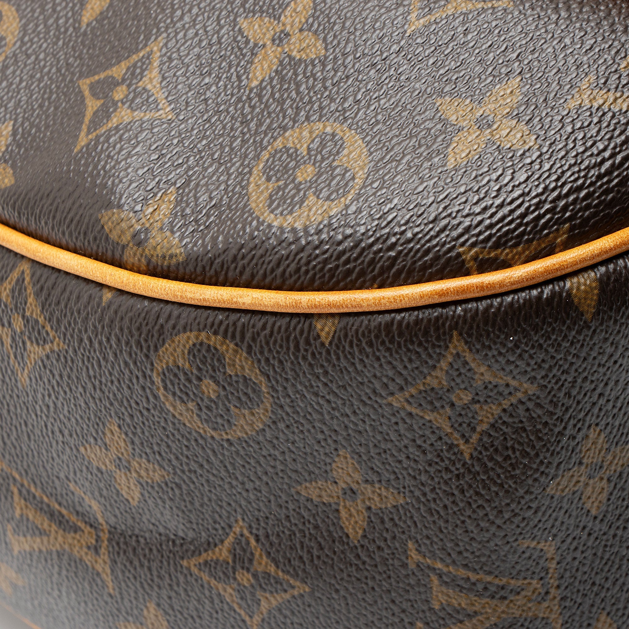 Louis Vuitton Monogram Canvas Galliera PM Shoulder Bag