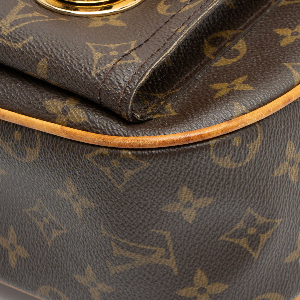 Louis Vuitton Monogram Canvas Hudson GM Shoulder Bag