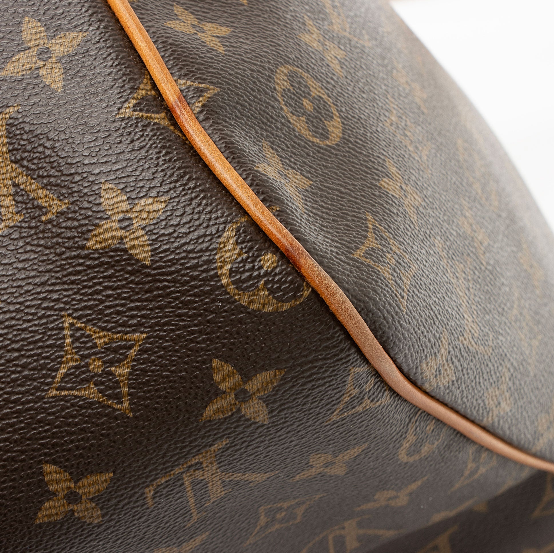 Louis Vuitton Monogram Canvas Hudson GM Shoulder Bag