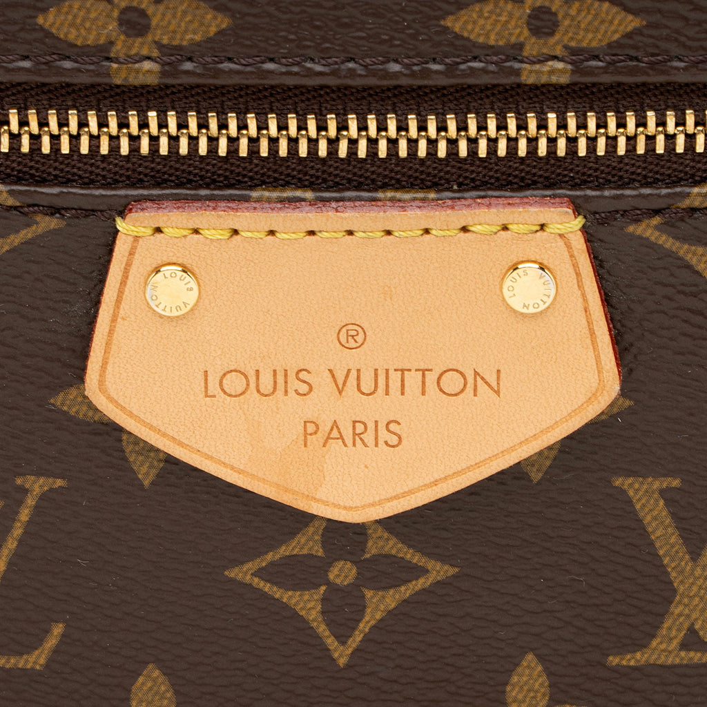 Louis Vuitton Monogram Canvas Iena MM Tote