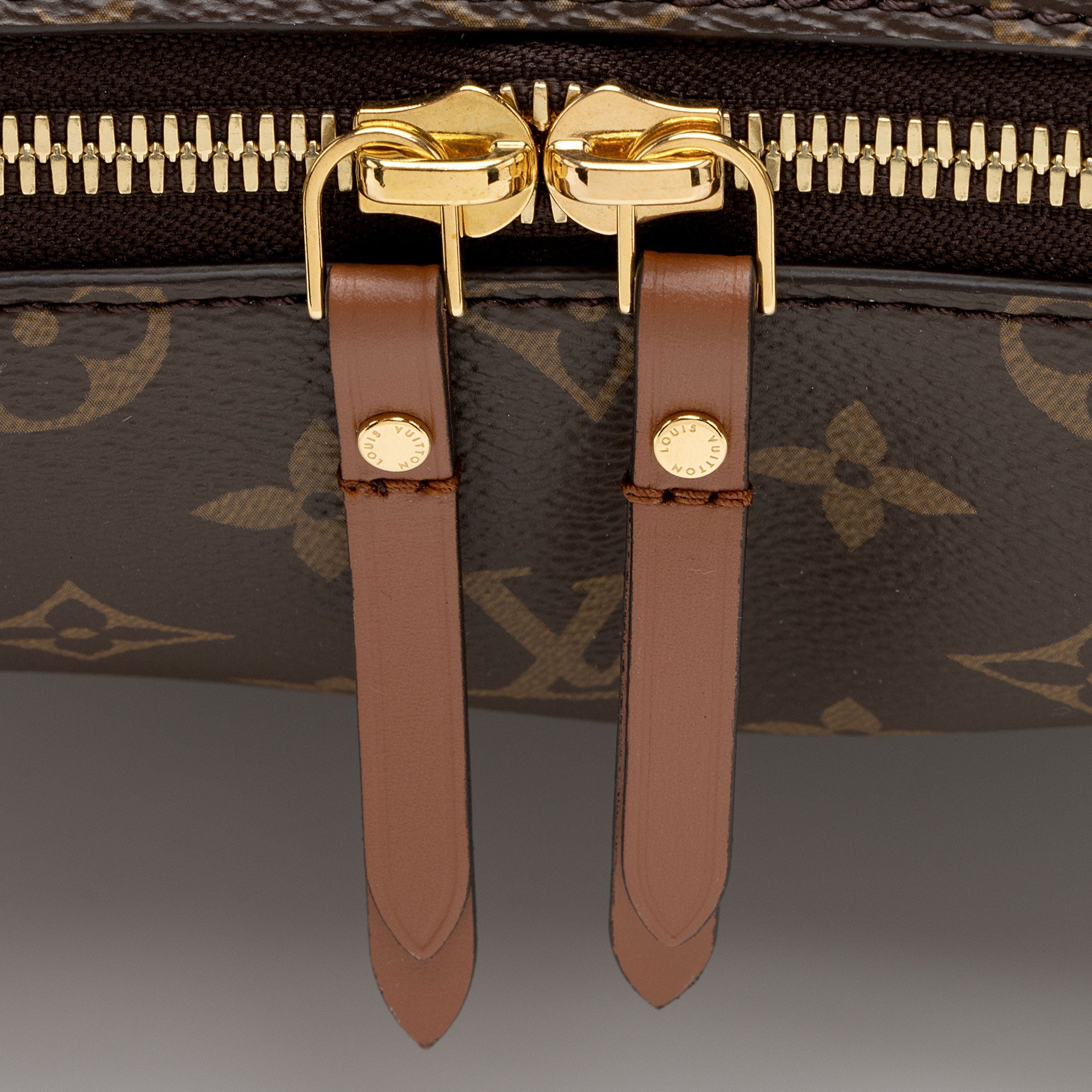 Louis Vuitton Monogram Canvas Loop Hobo (SHF-qc2piY)