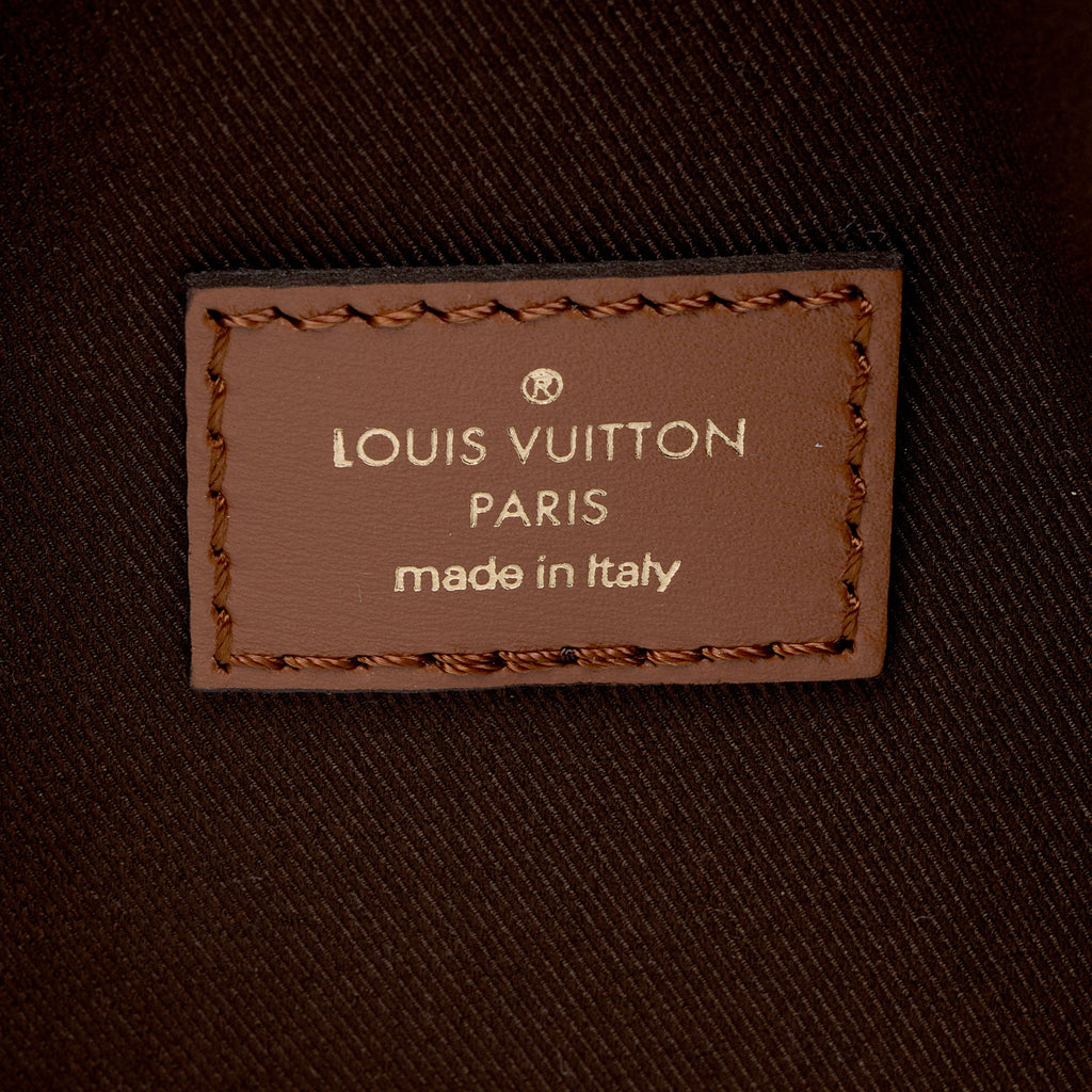 Louis Vuitton Monogram Canvas Loop Hobo (SHF-qc2piY)