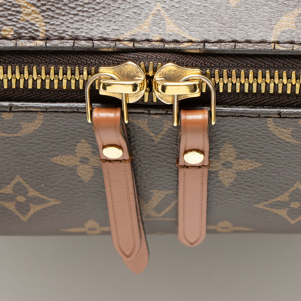 Louis Vuitton Monogram Canvas Loop Hobo