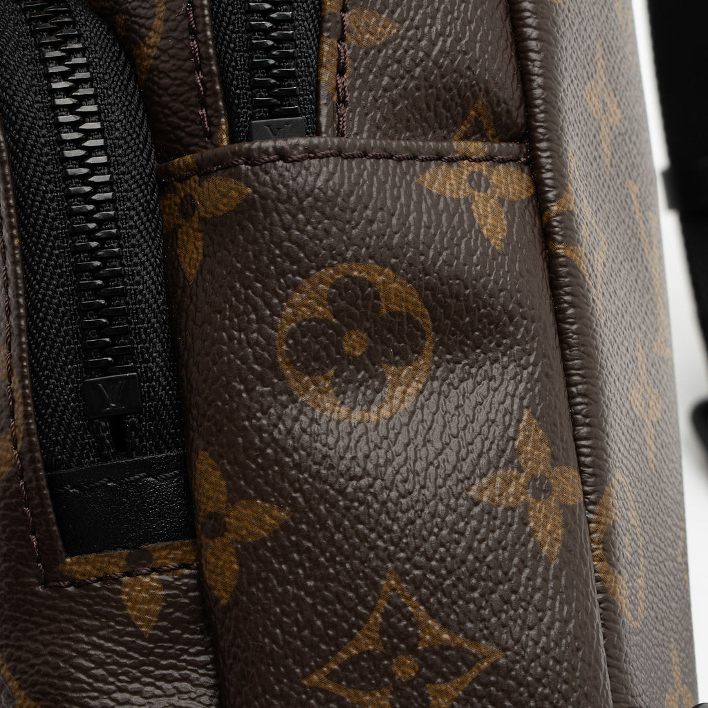 Louis Vuitton Monogram Canvas Macassar Avenue Sling Bag (SHF-FunEzl)
