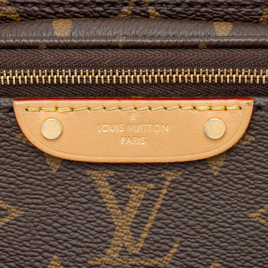 Louis Vuitton Monogram Canvas Mini Bumbag