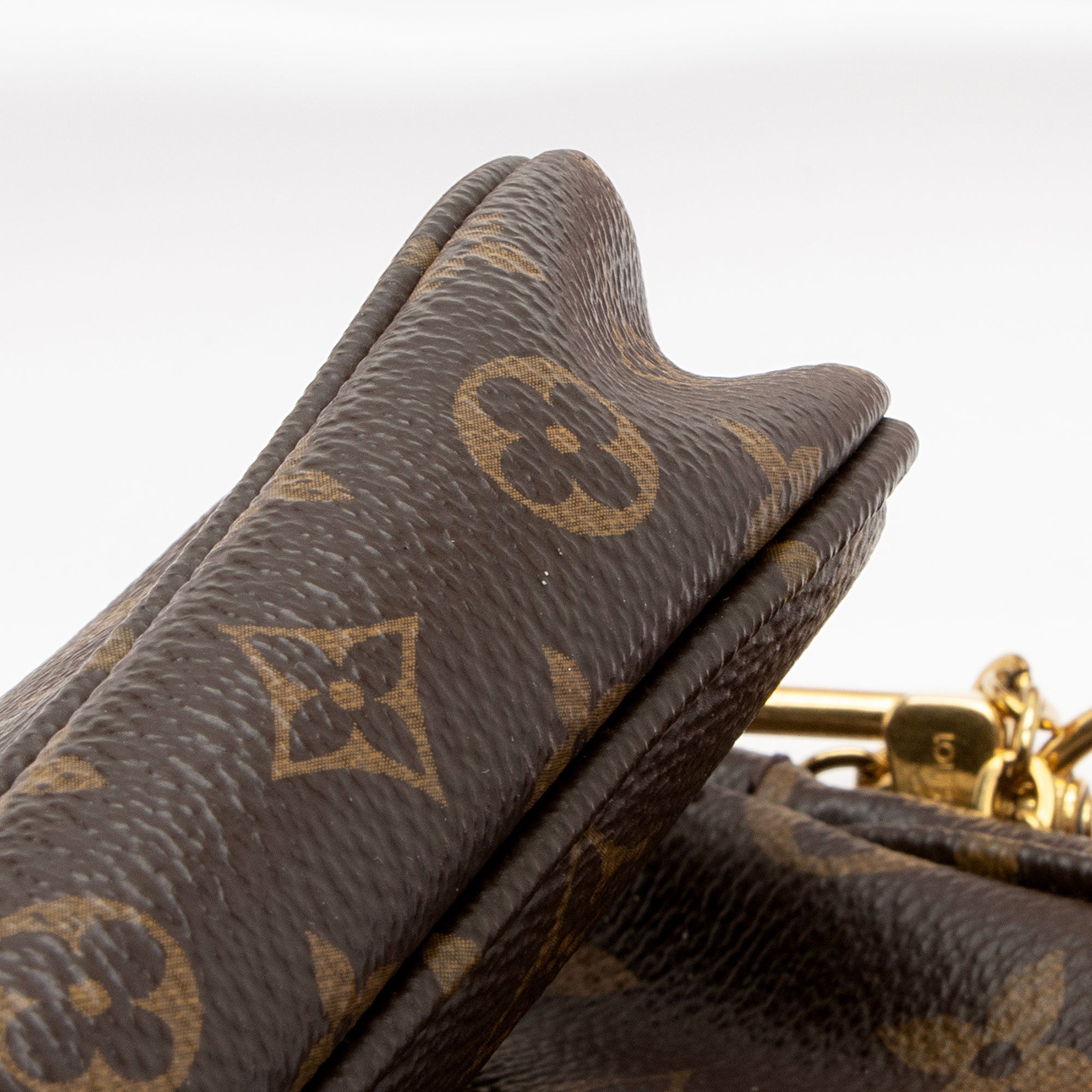 Louis Vuitton Monogram Canvas Multi-Pochette Accessoires (SHF-UfRNEB)