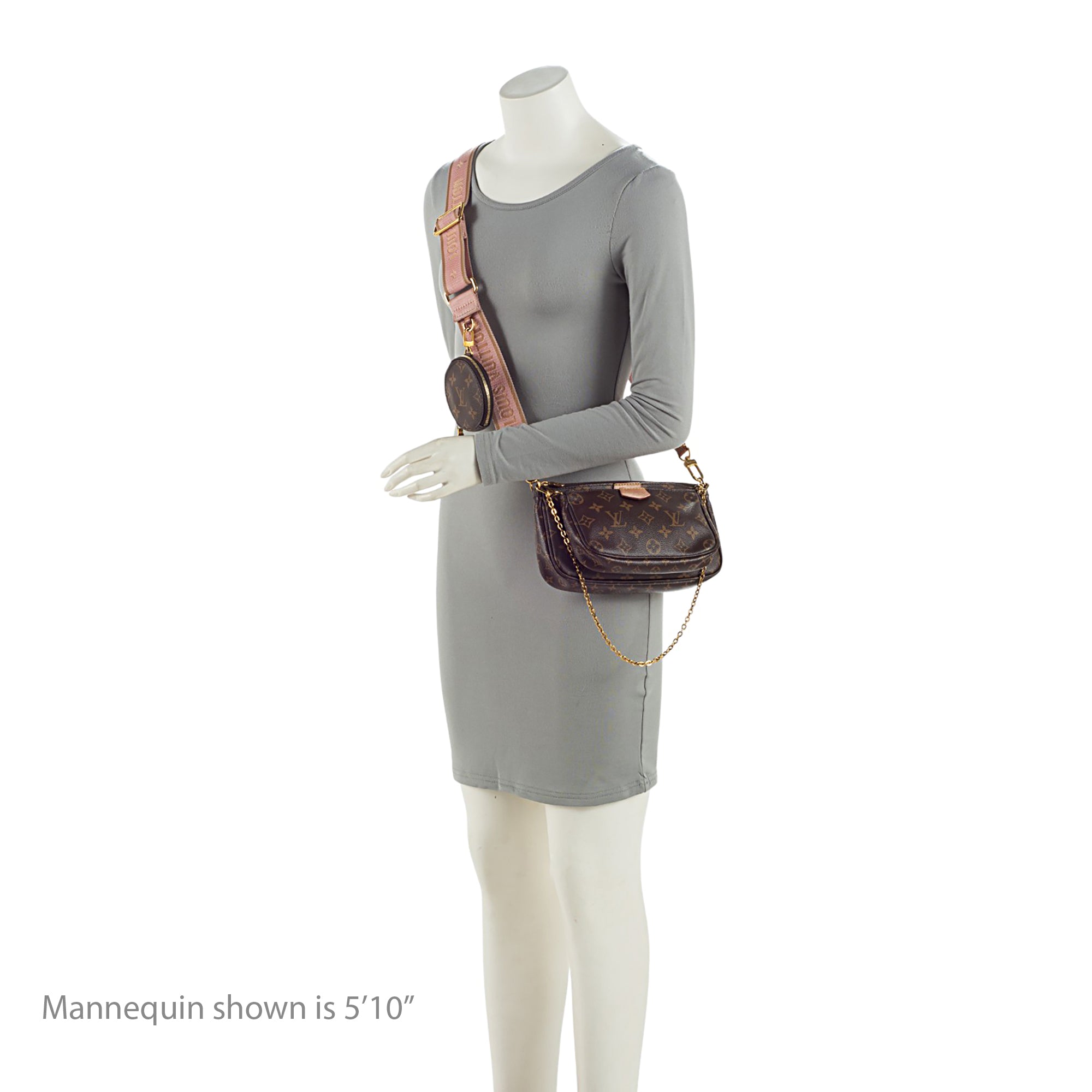 Louis Vuitton Monogram Canvas Multi-Pochette Accessoires (SHF-UfRNEB)