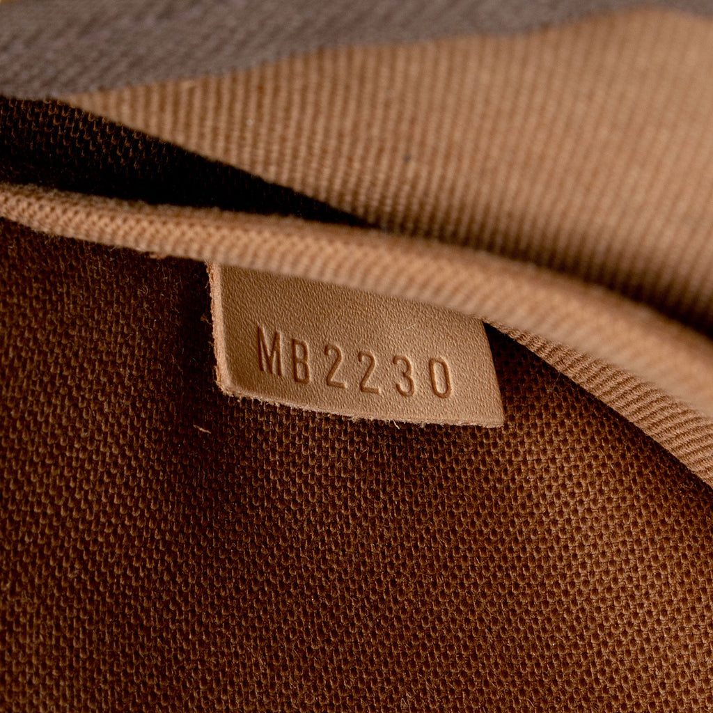 Louis Vuitton Monogram Canvas Multi-Pochette Accessoires