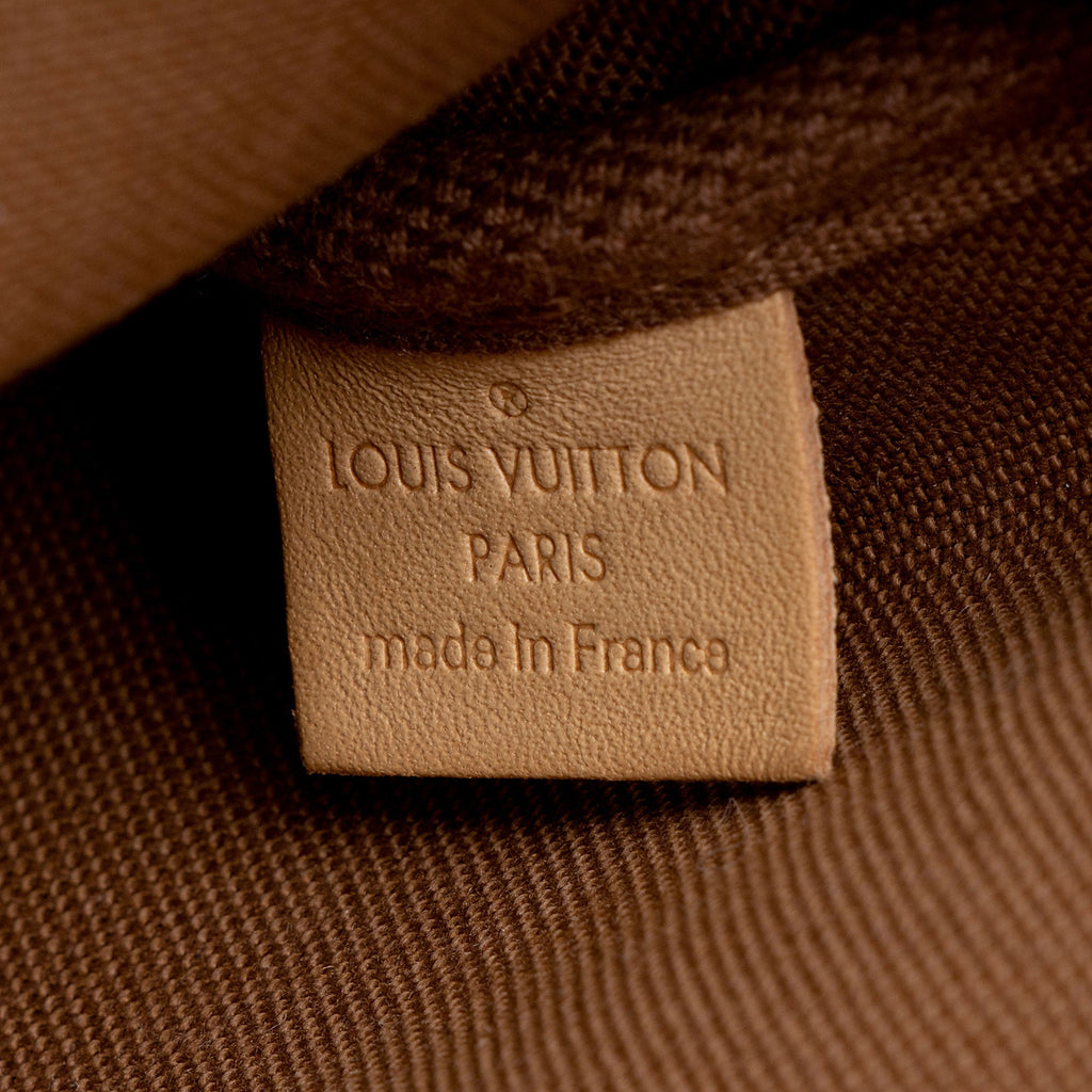 Louis Vuitton Monogram Canvas Multi-Pochette Accessoires