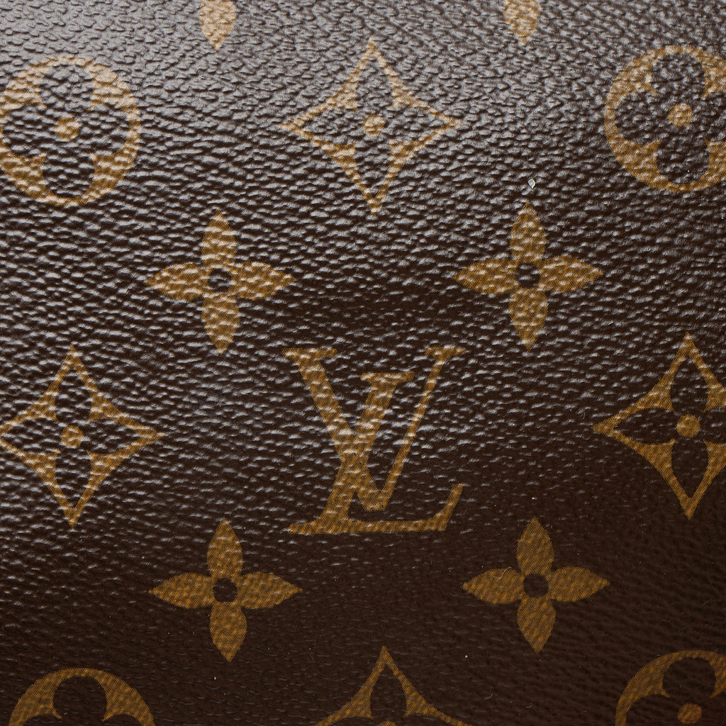 Louis Vuitton Monogram Canvas Multi-Pochette Accessoires