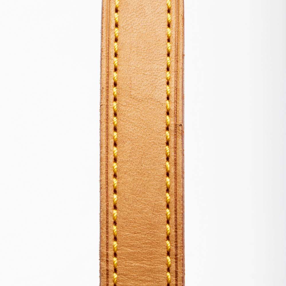 Louis Vuitton Monogram Canvas Musette Tango Shoulder Bag (SHF-17822)