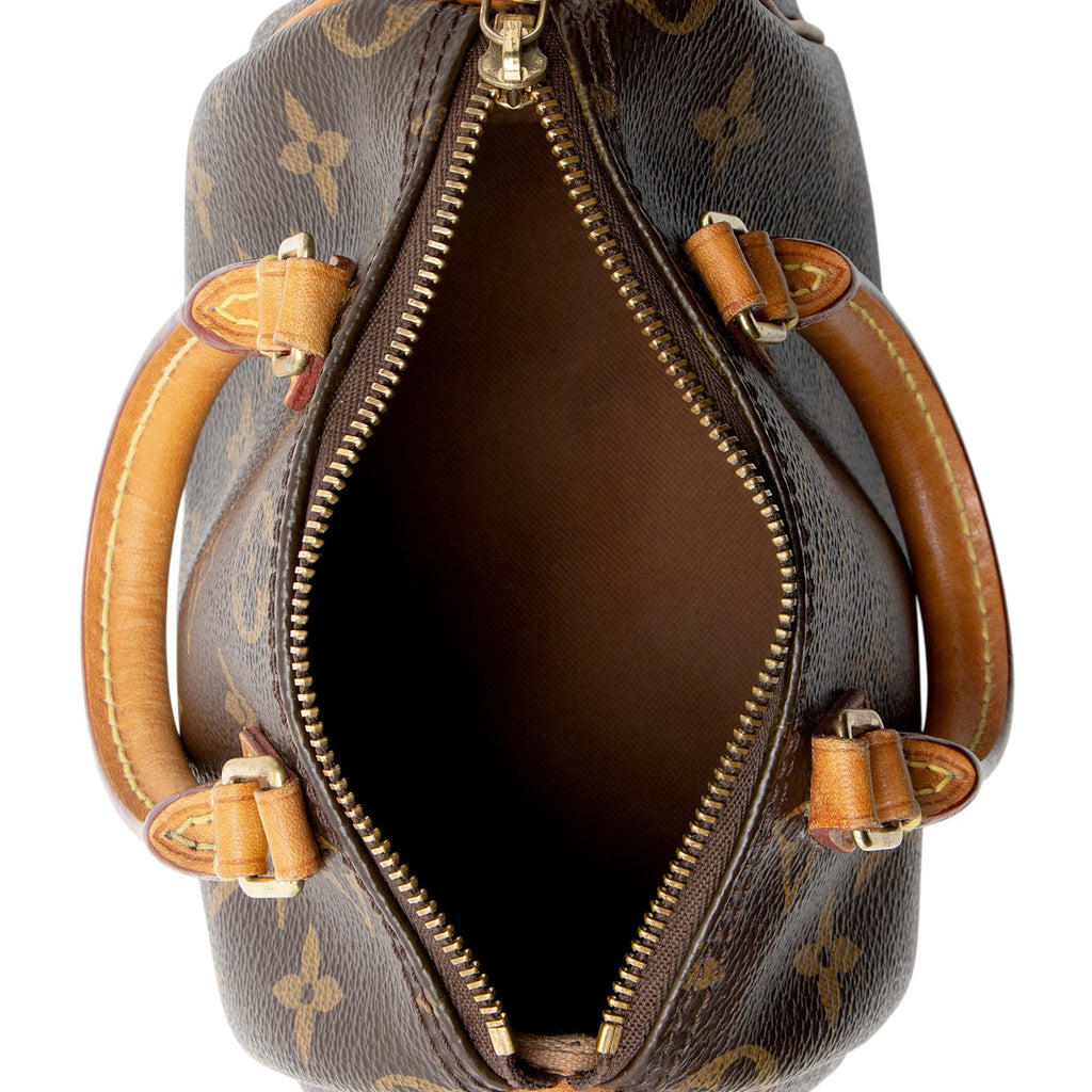 Louis Vuitton Monogram Canvas Nano Speedy Satchel
