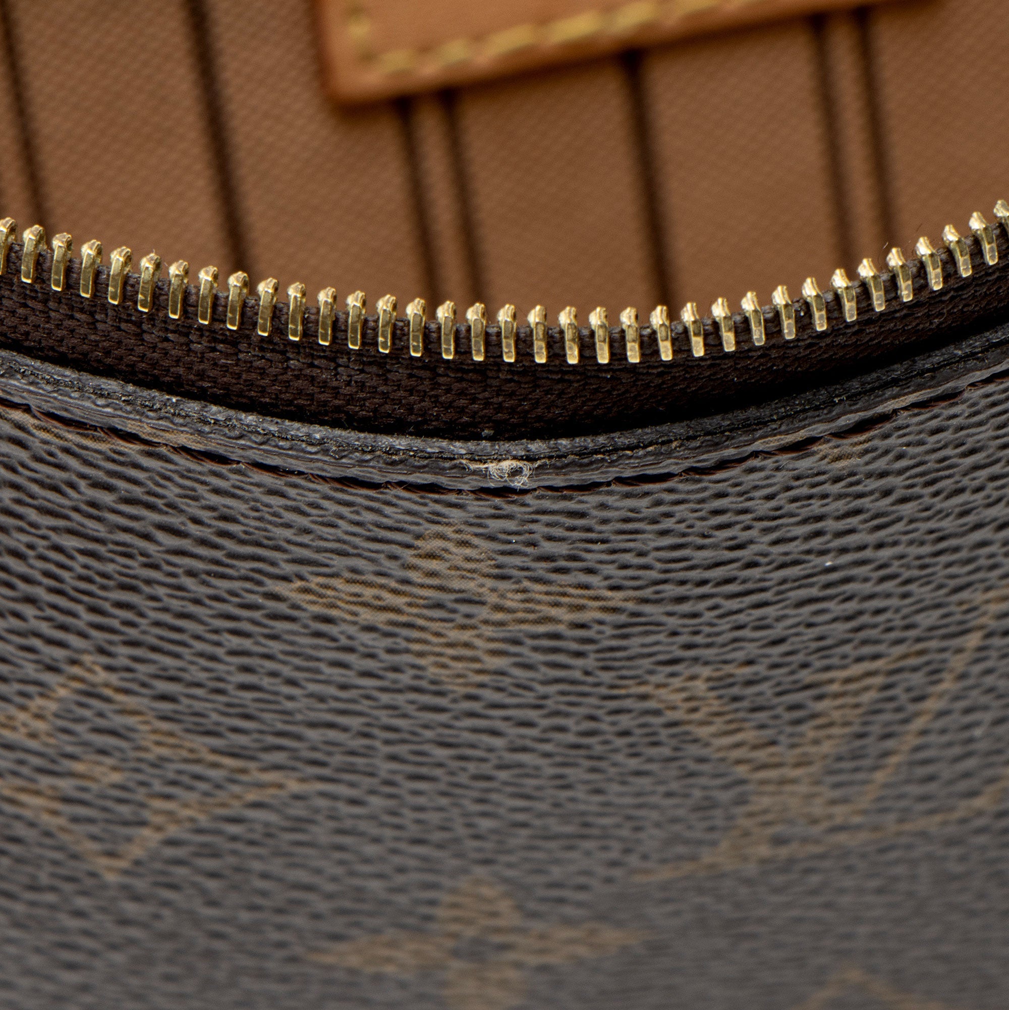 Louis Vuitton Monogram Canvas Neverfull MM Pochette