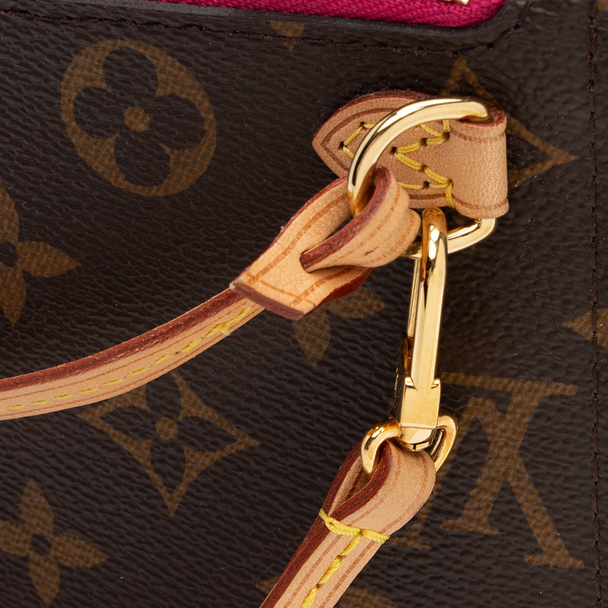 Louis Vuitton Monogram Canvas Neverfull PM Pochette (SHF-cHQz6n)