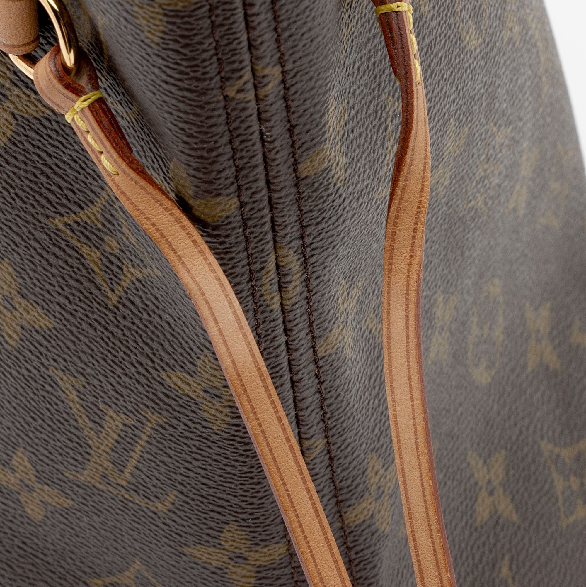 Louis Vuitton Monogram Canvas Neverfull PM Tote (SHF-aV7xhL)