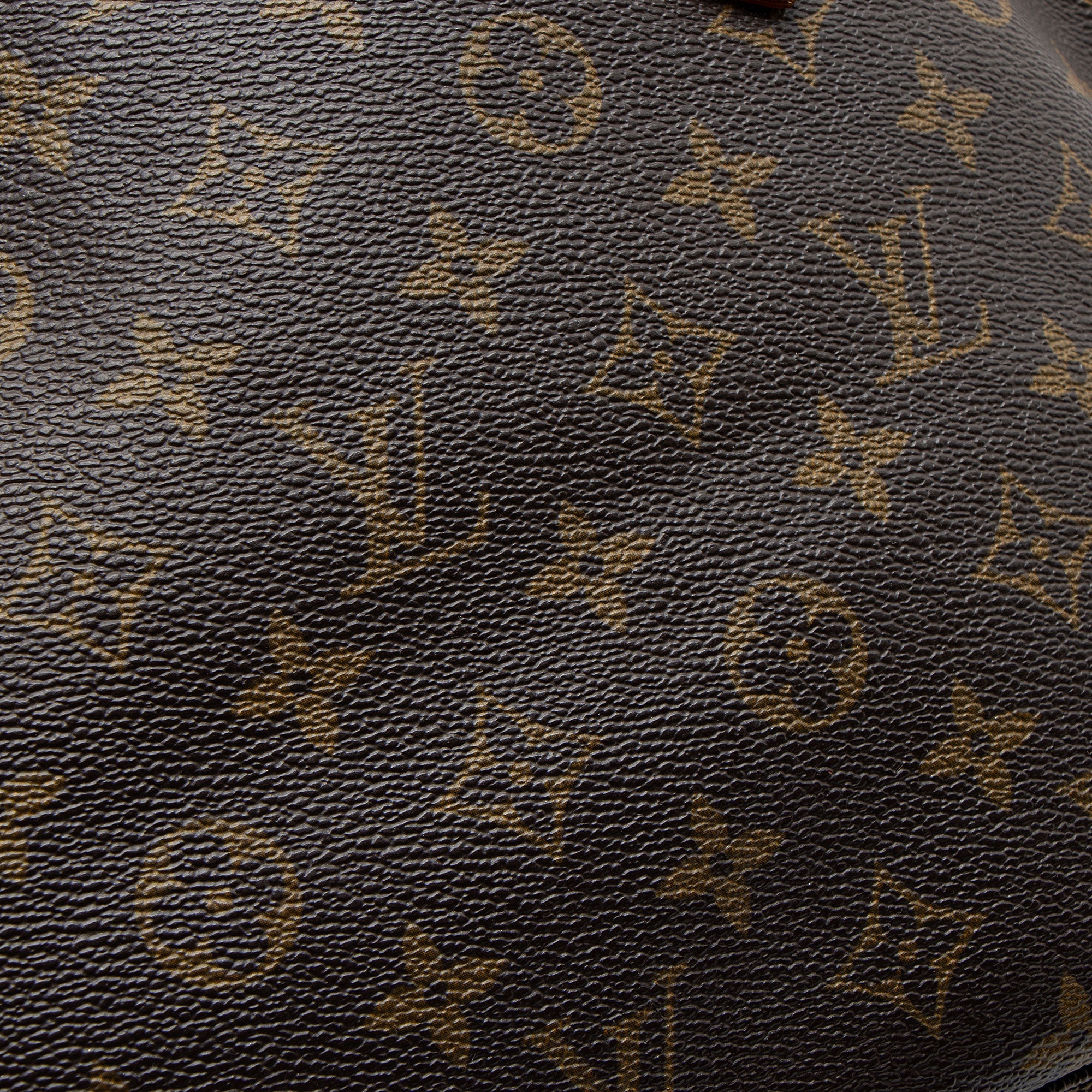 Louis Vuitton Monogram Canvas Neverfull PM Tote (SHF-FZ2BgE)