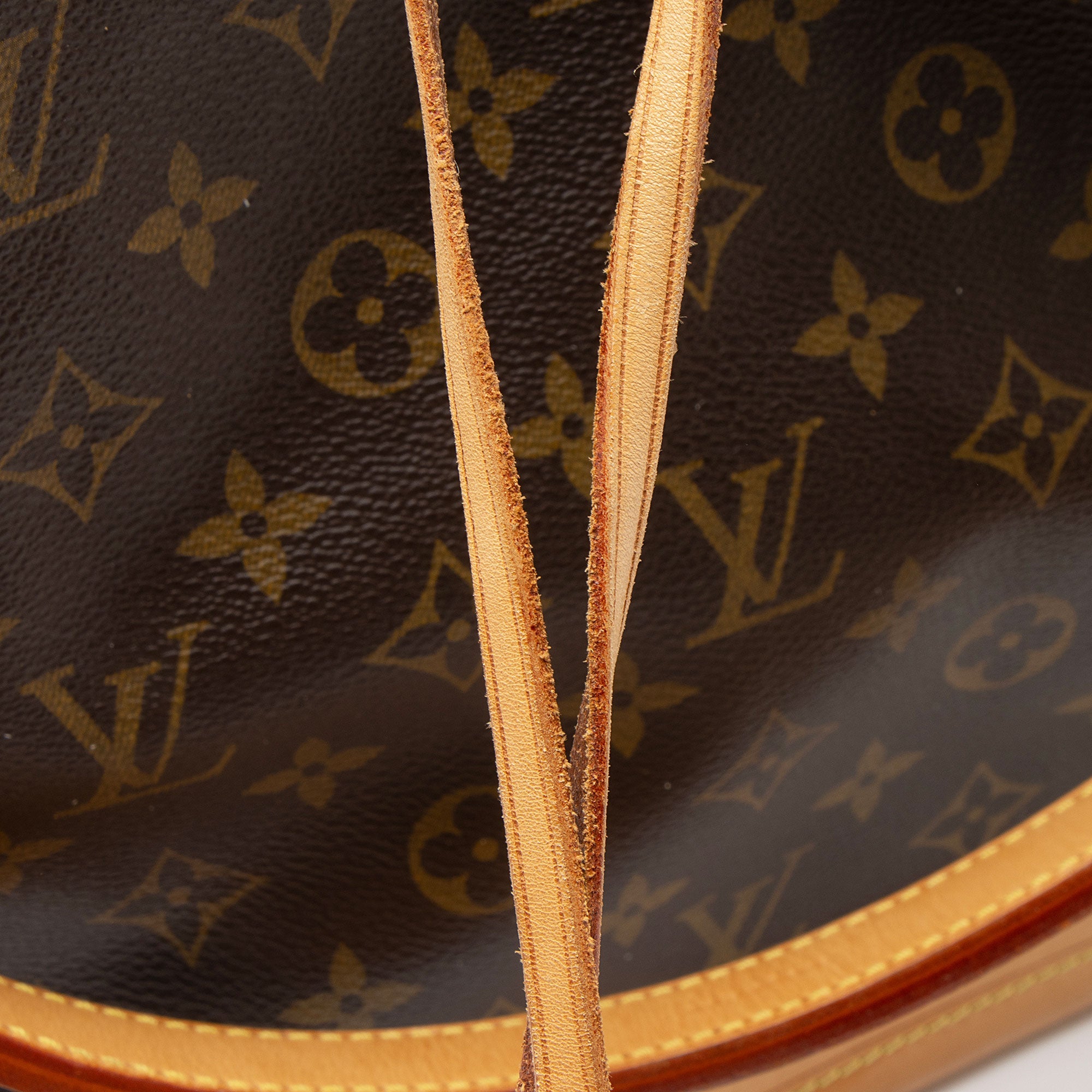 Louis Vuitton Monogram Canvas Noe Shoulder Bag