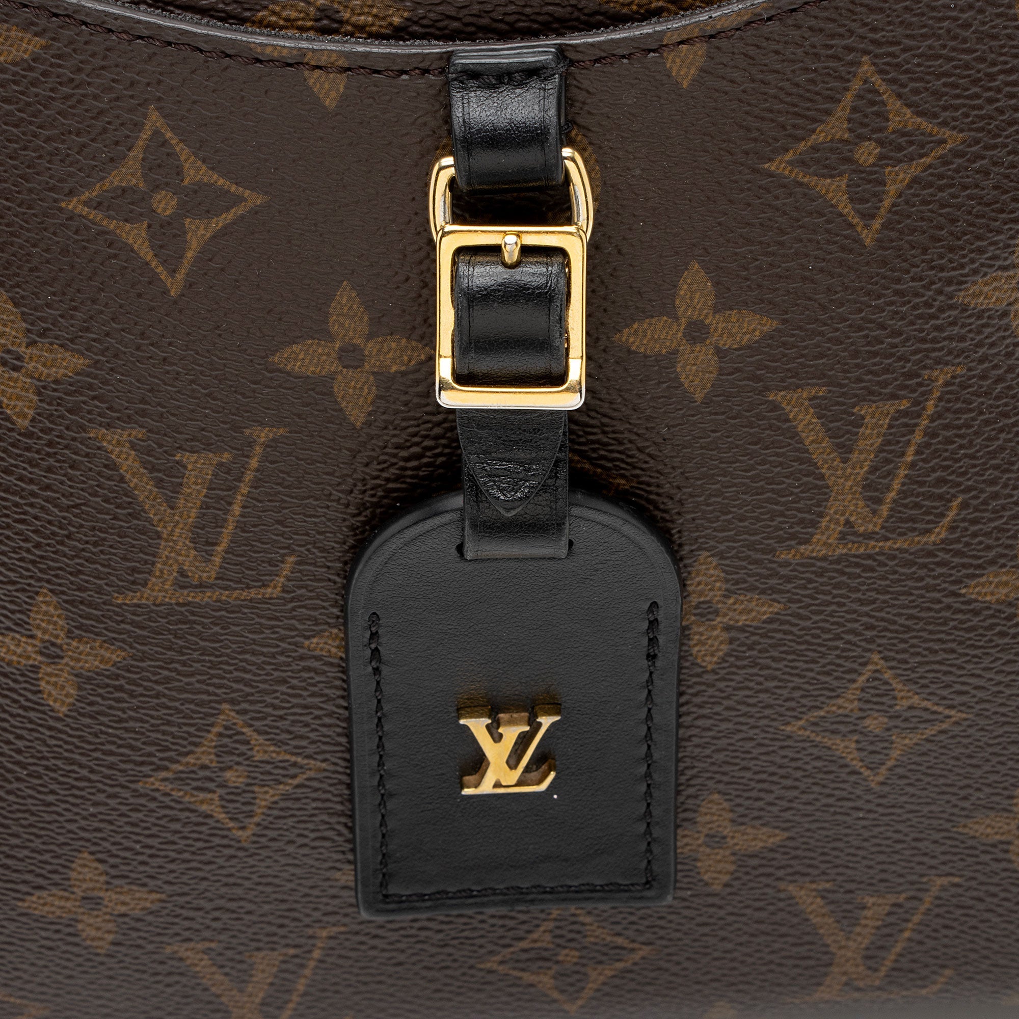 Louis Vuitton Monogram Canvas Odeon PM NM Shoulder Bag