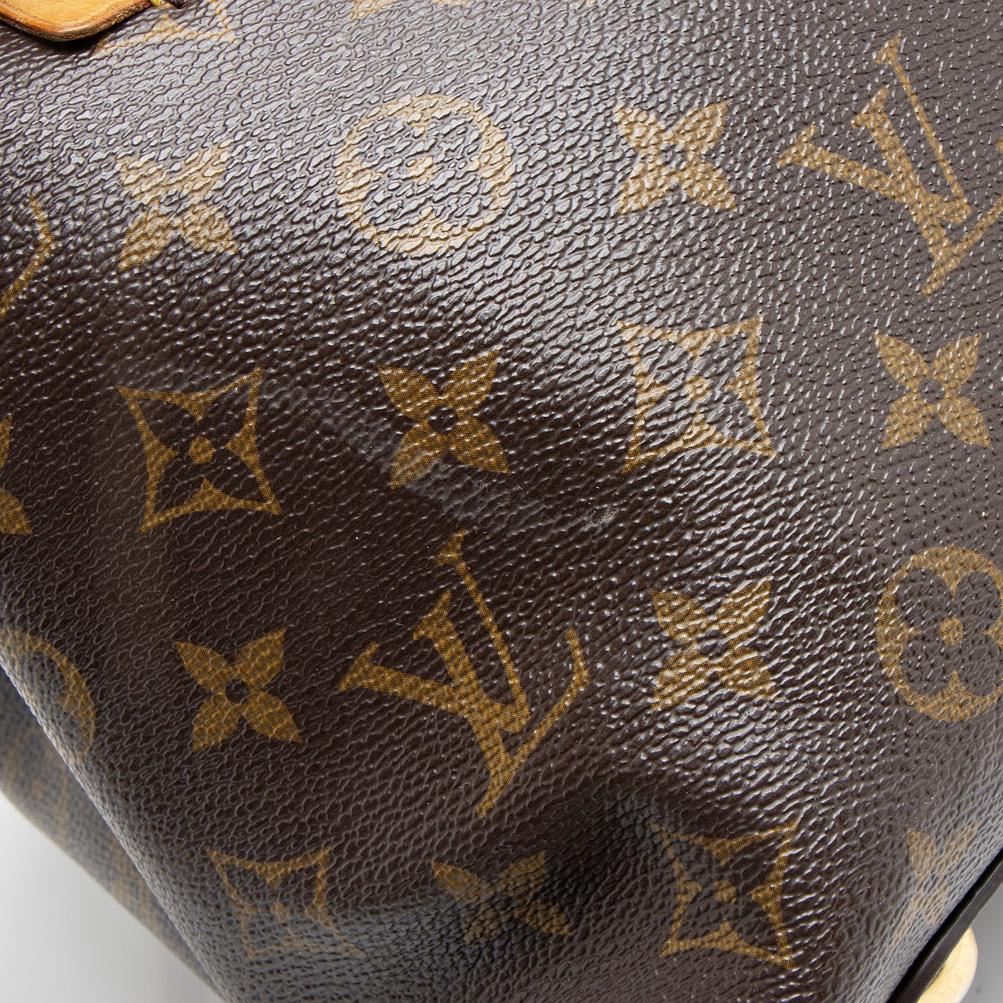 Louis Vuitton Monogram Canvas Olympe Bag