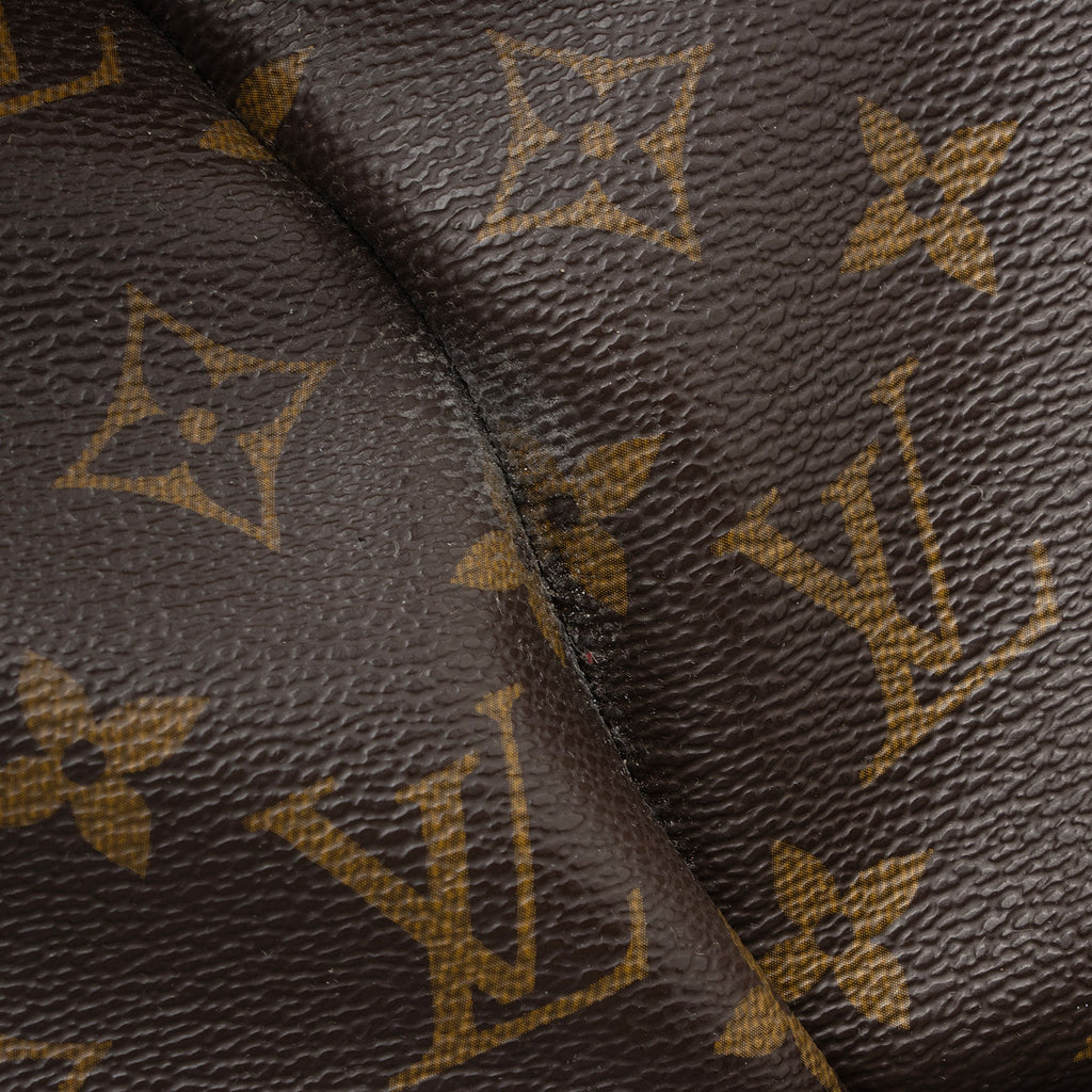Louis Vuitton Monogram Canvas Olympe Bag - FINAL SALE