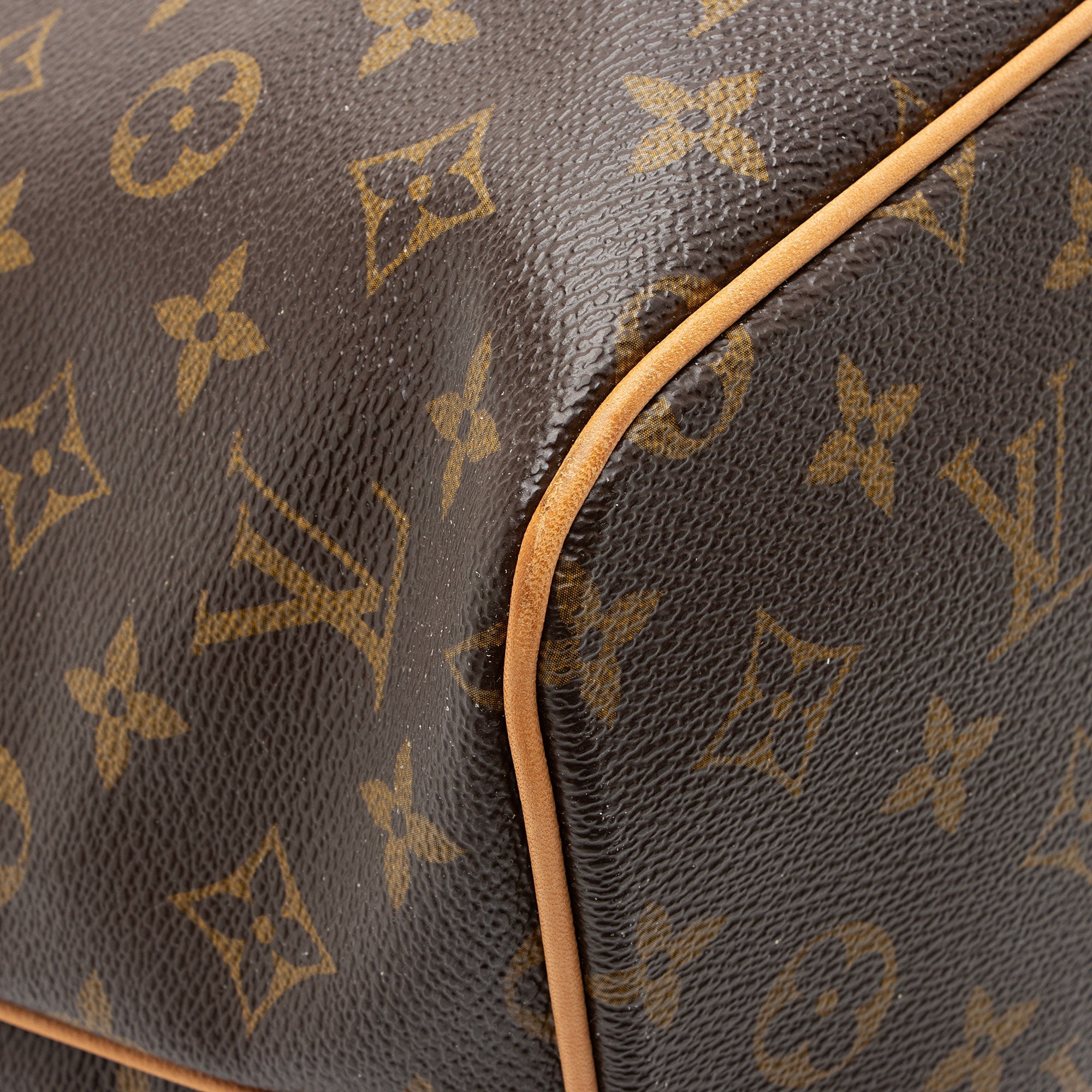Louis Vuitton Monogram Canvas Palermo PM Tote