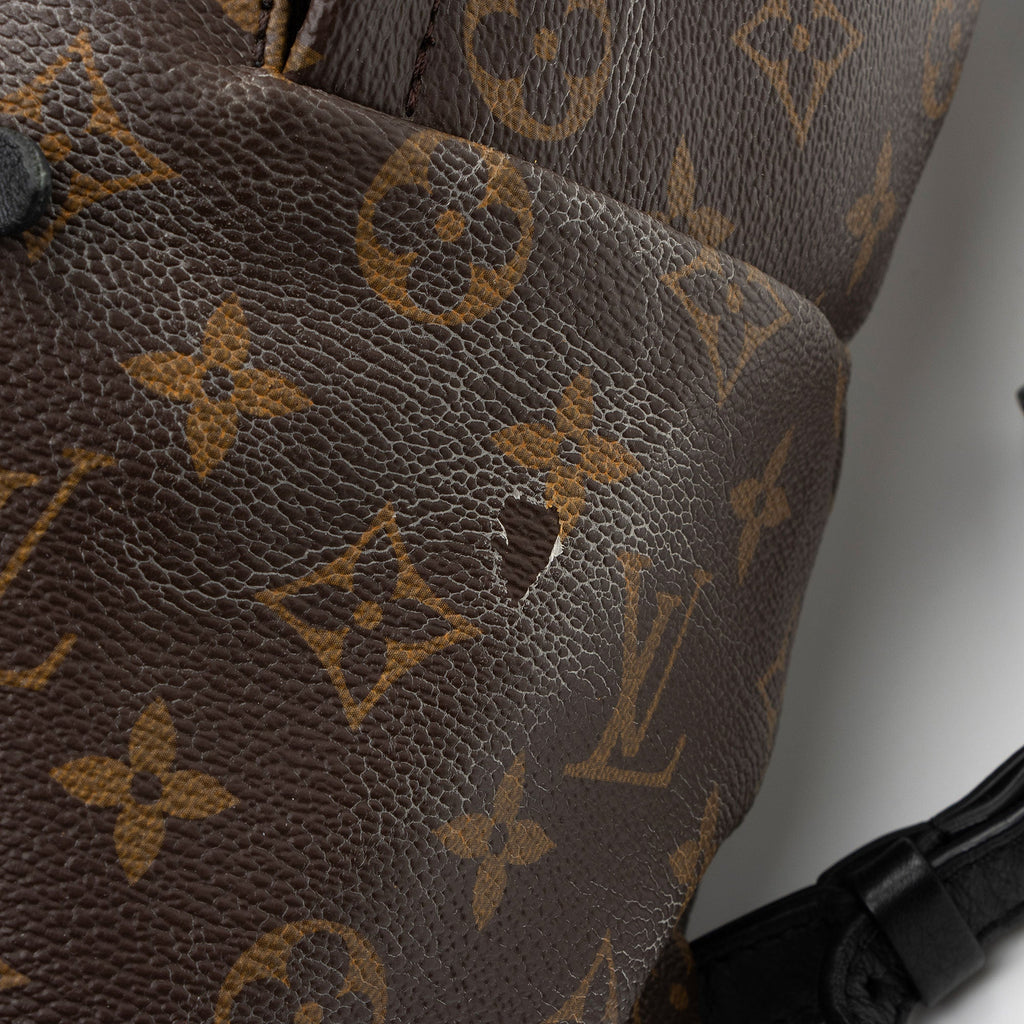 Louis Vuitton Monogram Canvas Palm Springs MM Backpack