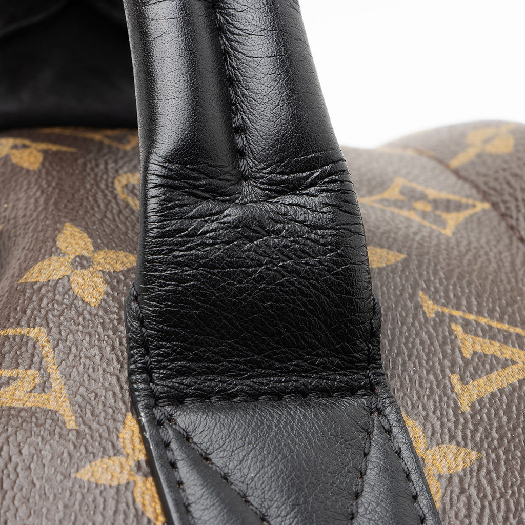 Louis Vuitton Monogram Canvas Palm Springs MM Backpack