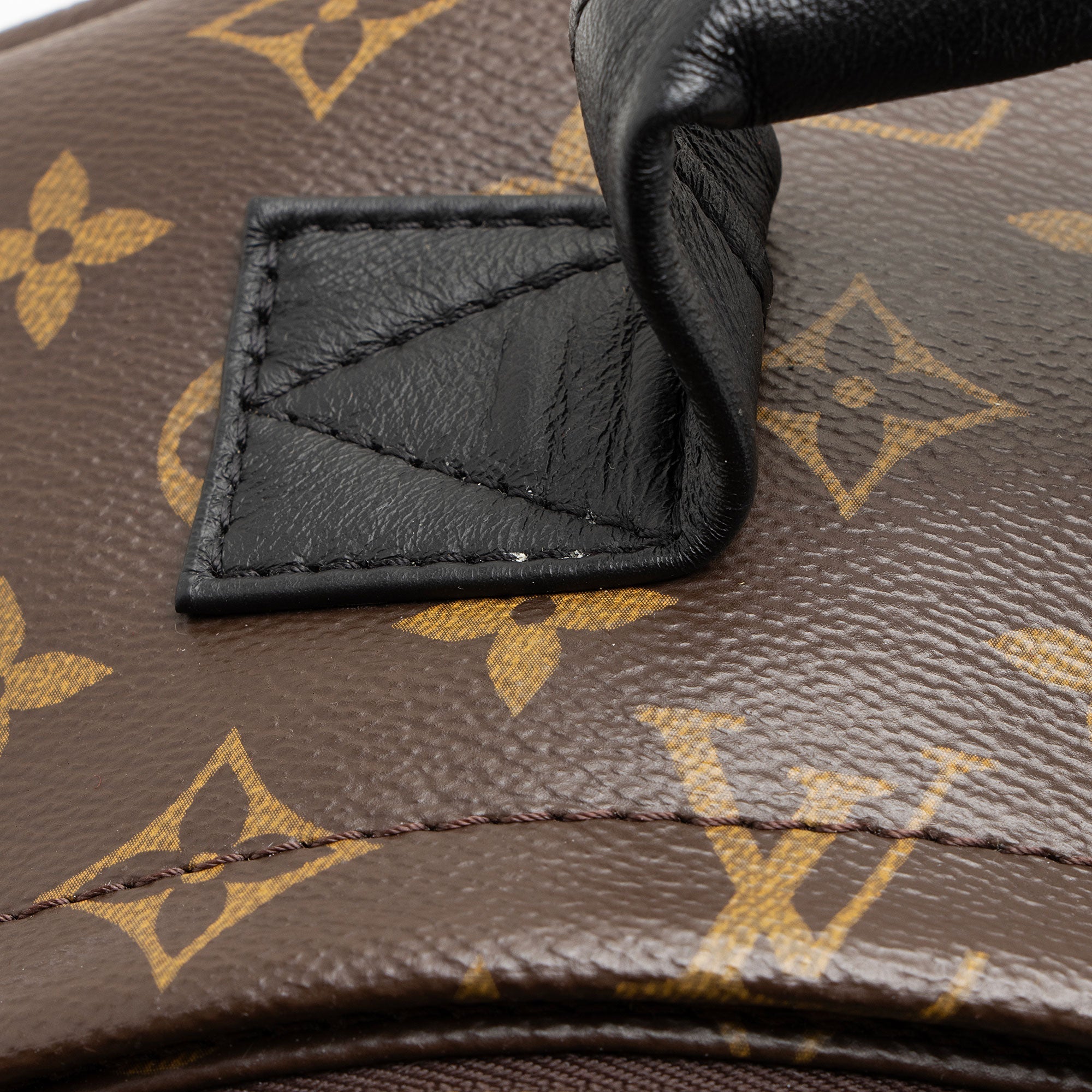 Louis Vuitton Monogram Canvas Palm Springs MM Backpack