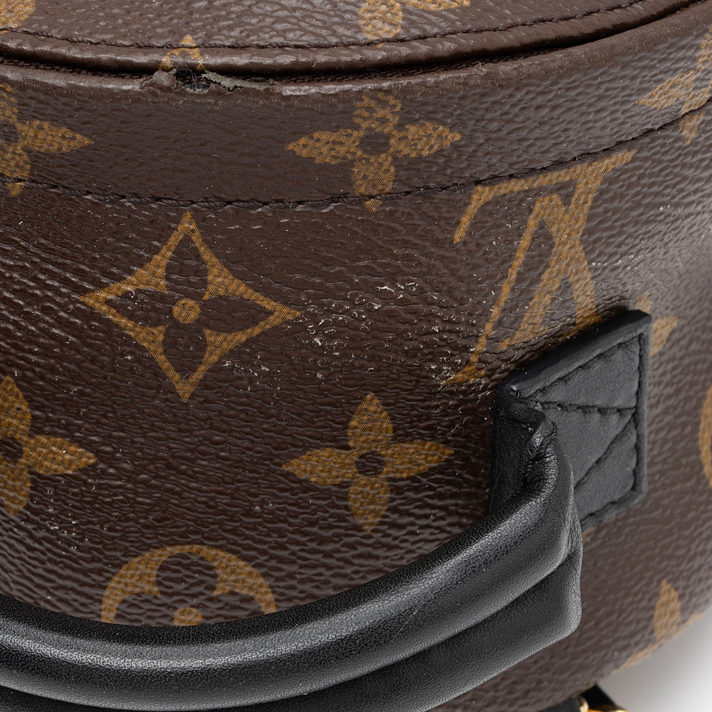 Louis Vuitton Monogram Canvas Palm Springs Mini Backpack (SHF-2EWGEF)