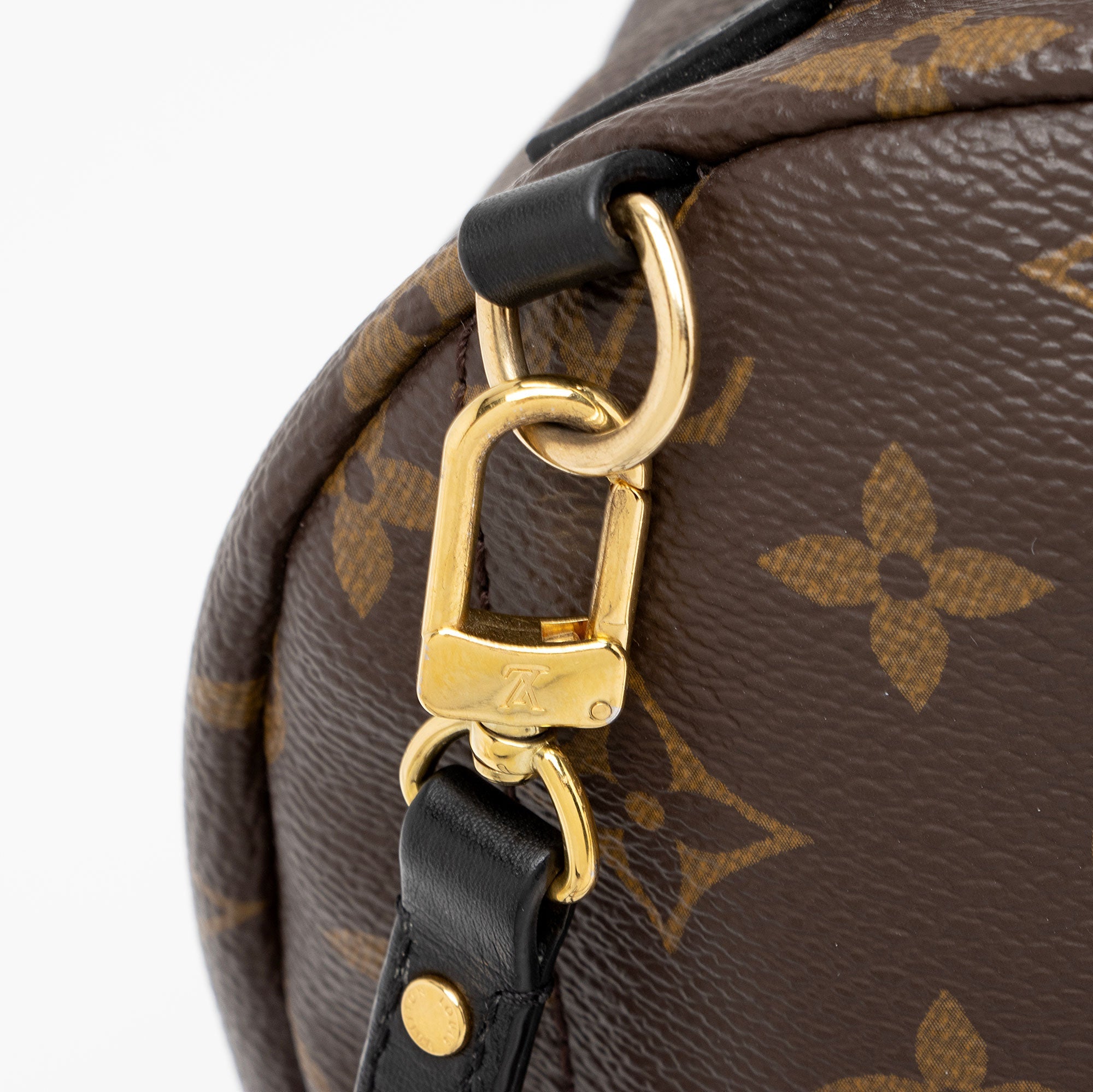 Louis Vuitton Monogram Canvas Palm Springs Mini Backpack (SHF-VmlH0l)