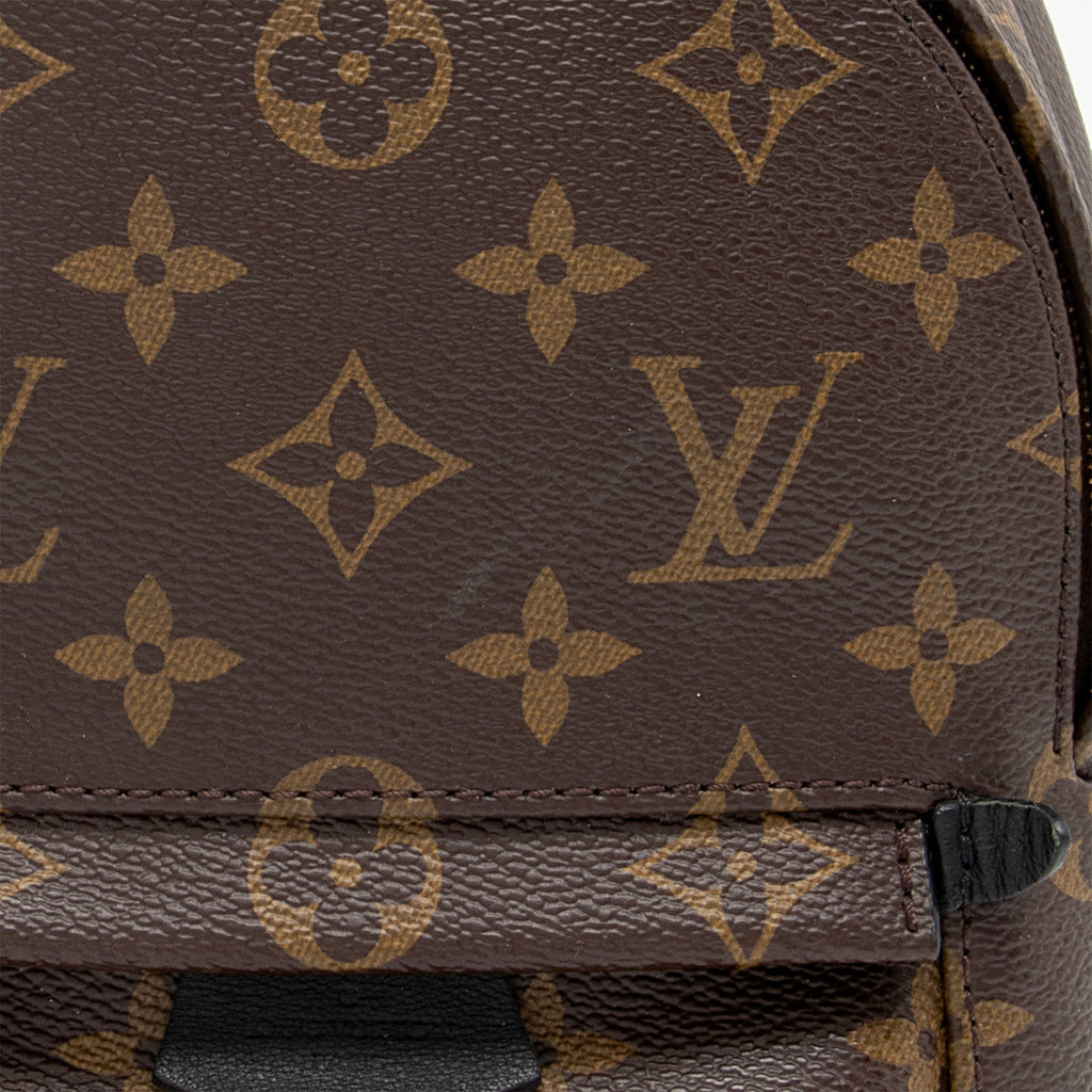 Louis Vuitton Monogram Canvas Palm Springs Mini Backpack (SHF-VmlH0l)