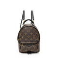 Louis Vuitton Monogram Canvas Palm Springs Mini Backpack