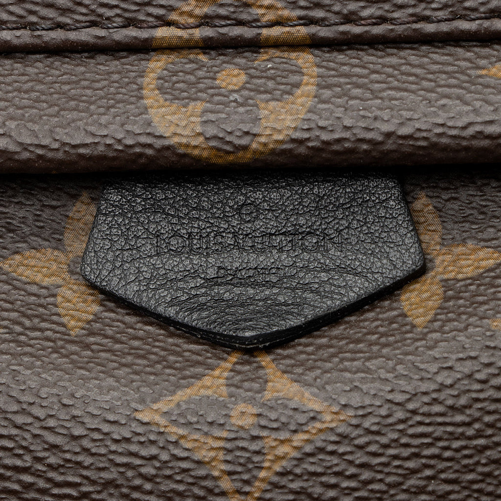 Louis Vuitton Monogram Canvas Palm Springs Mini Backpack