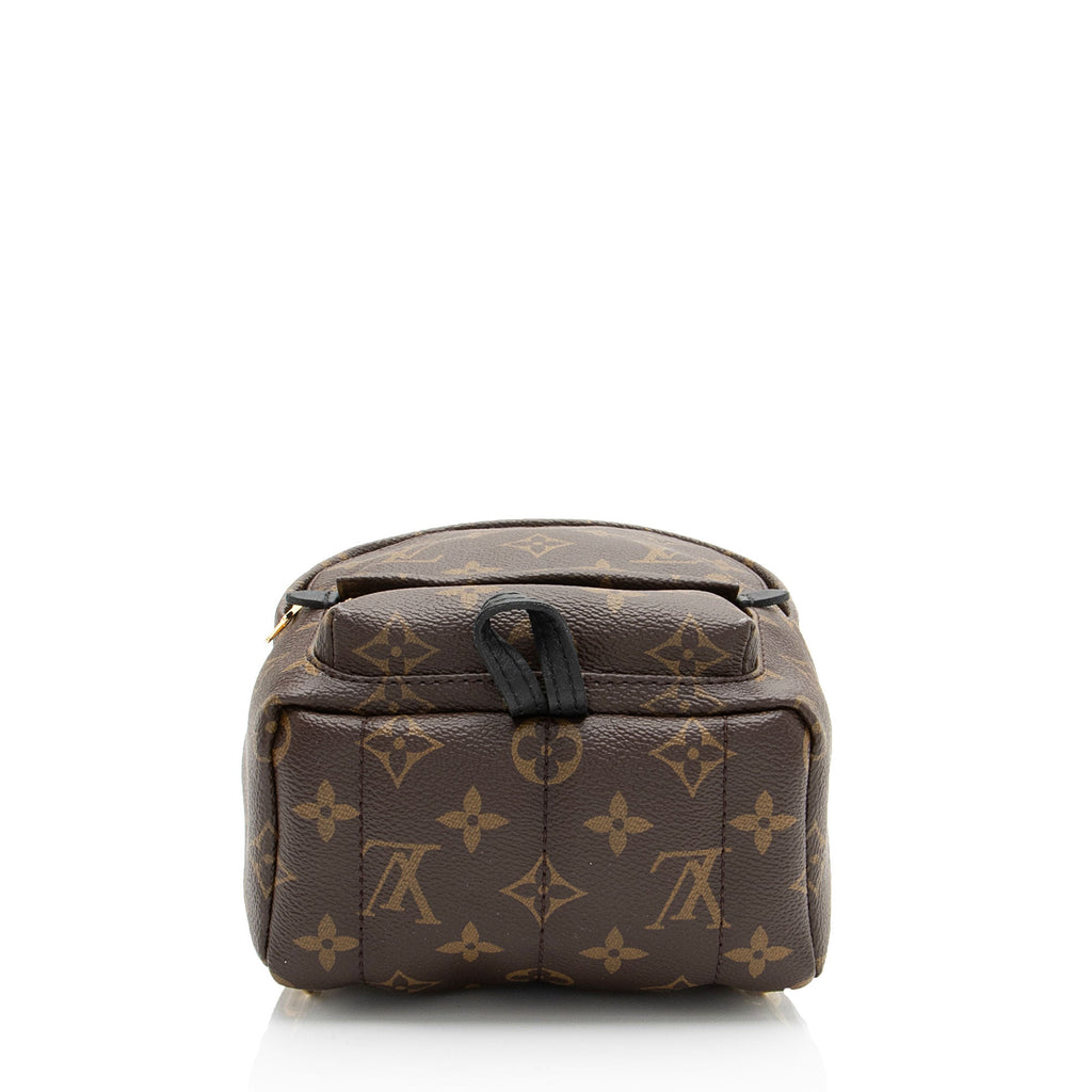 Louis Vuitton Monogram Canvas Palm Springs Mini Backpack