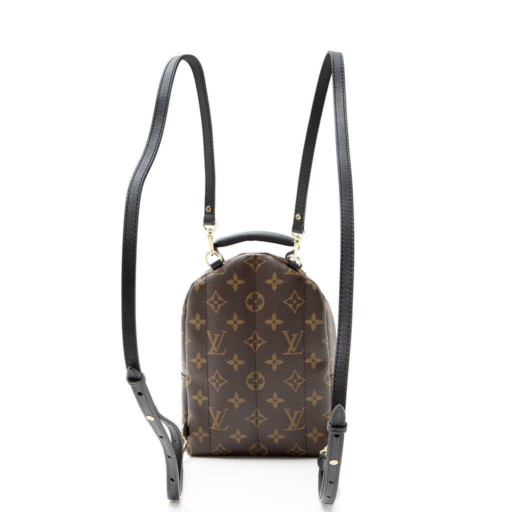 Louis Vuitton Monogram Canvas Palm Springs Mini Backpack