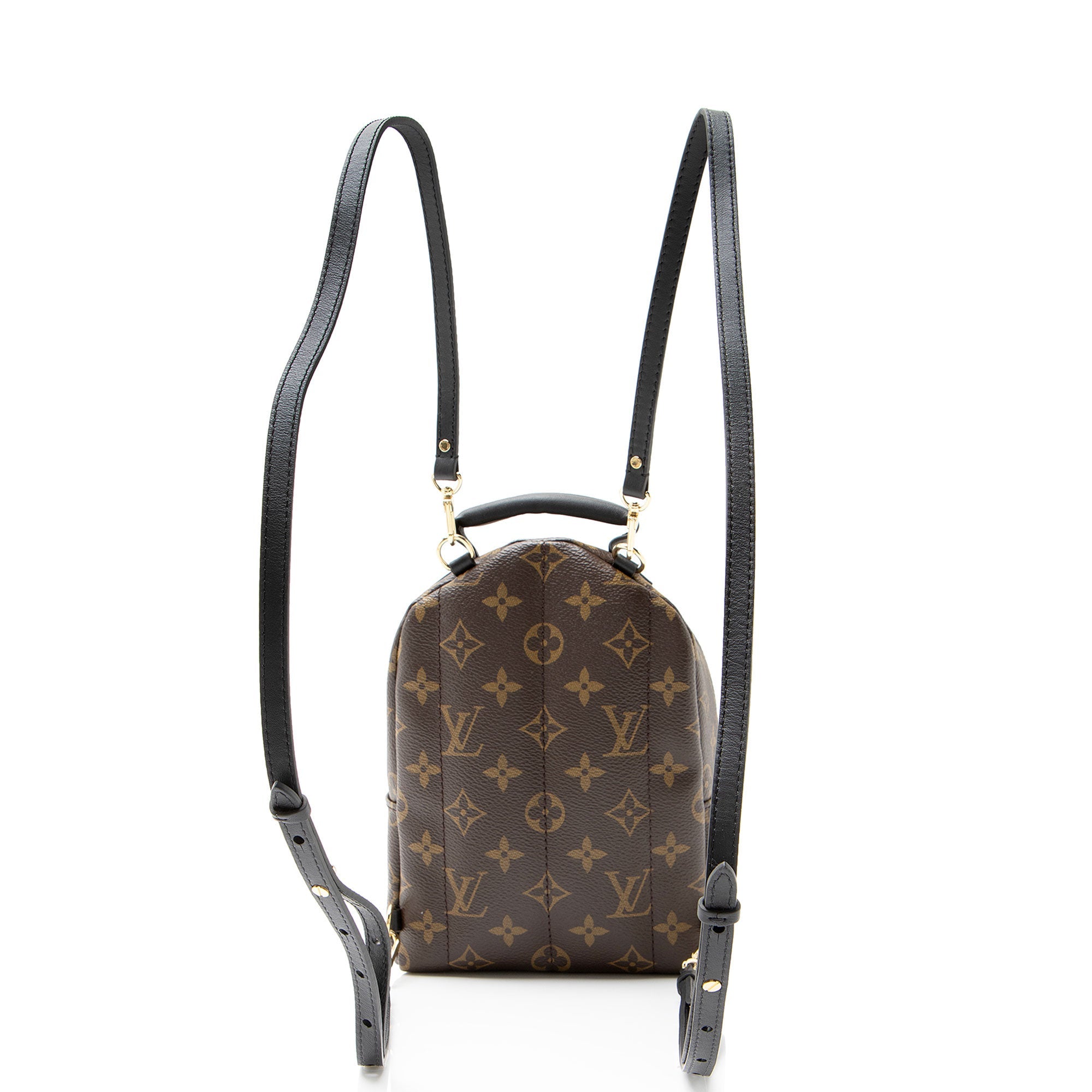 Louis Vuitton Monogram Canvas Palm Springs Mini Backpack