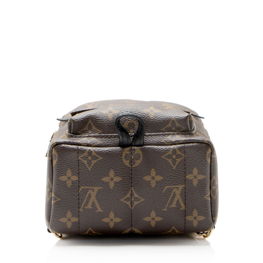 Louis Vuitton Monogram Canvas Palm Springs Mini Backpack