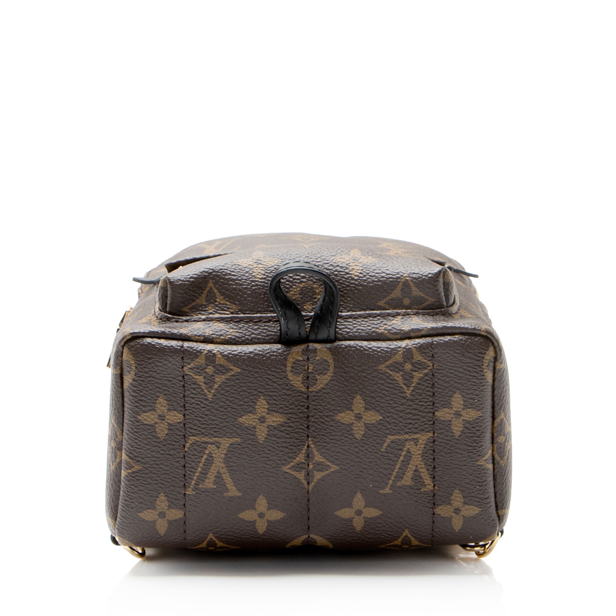 Louis Vuitton Monogram Canvas Palm Springs Mini Backpack