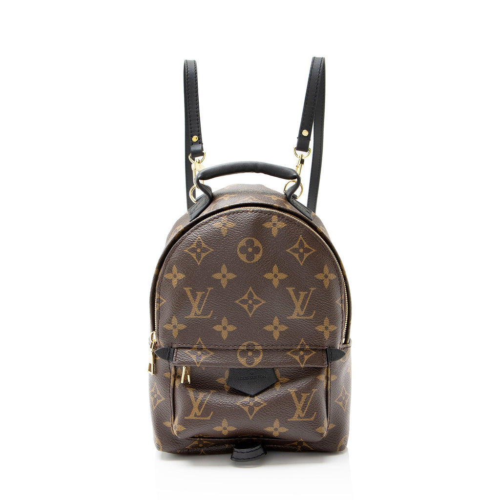 Louis Vuitton Monogram Canvas Palm Springs Mini Backpack
