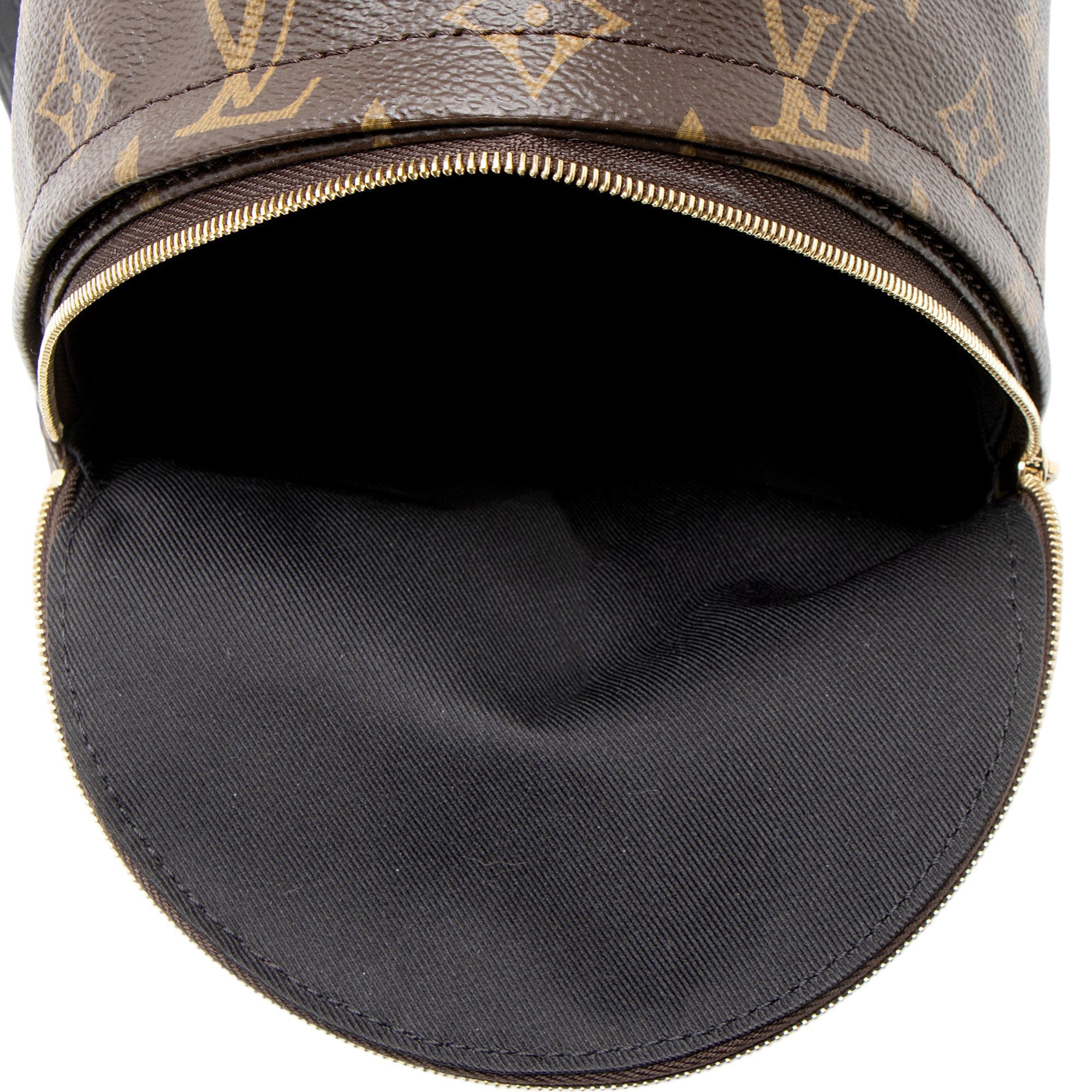 Louis Vuitton Monogram Canvas Palm Springs Mini Backpack