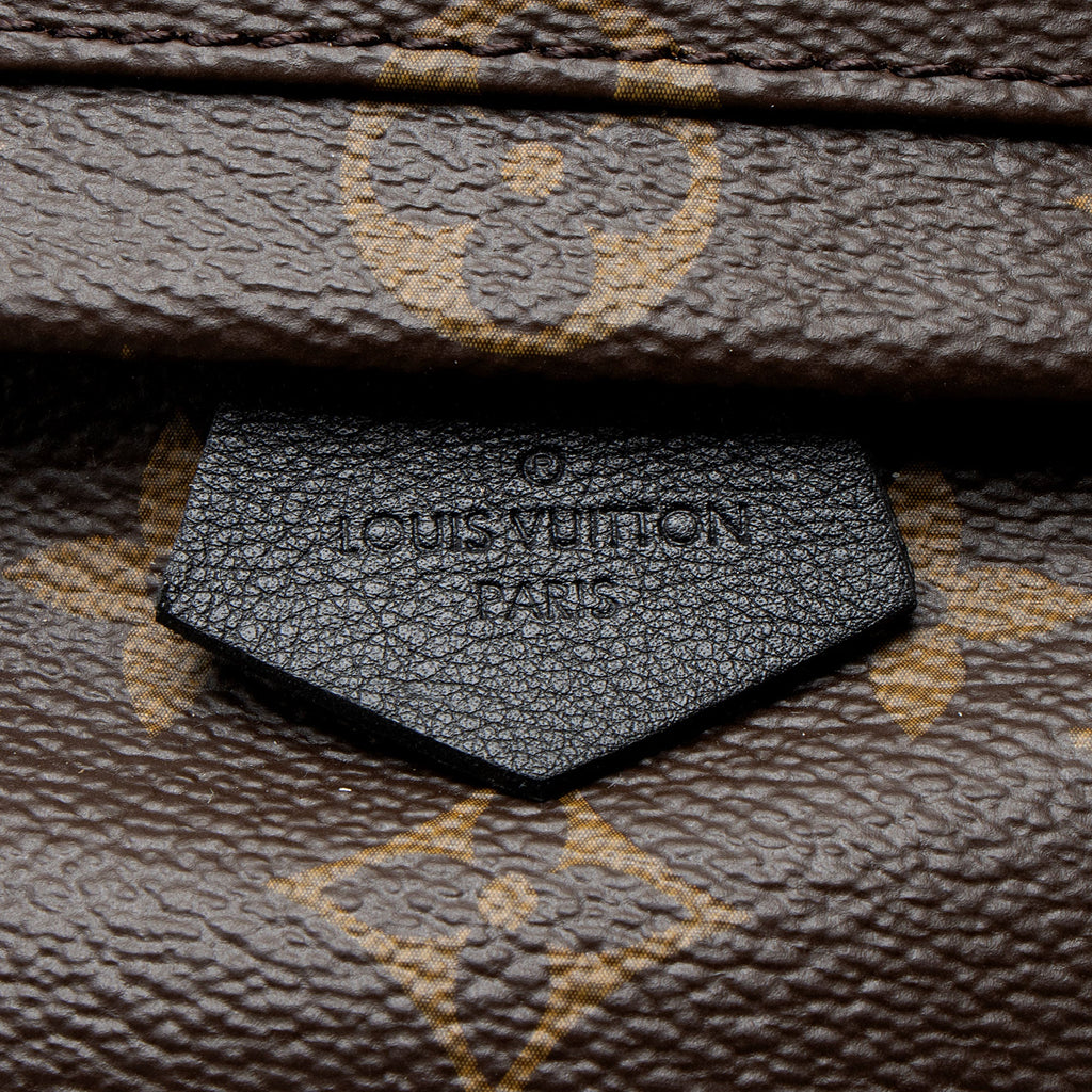 Louis Vuitton Monogram Canvas Palm Springs Mini Backpack