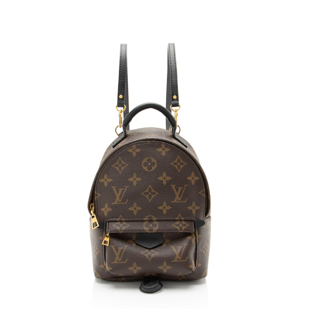 Louis Vuitton Monogram Canvas Palm Springs Mini Backpack