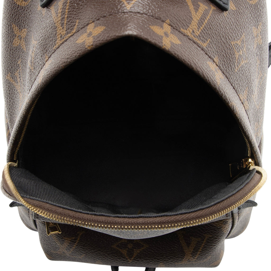 Louis Vuitton Monogram Canvas Palm Springs Mini Backpack