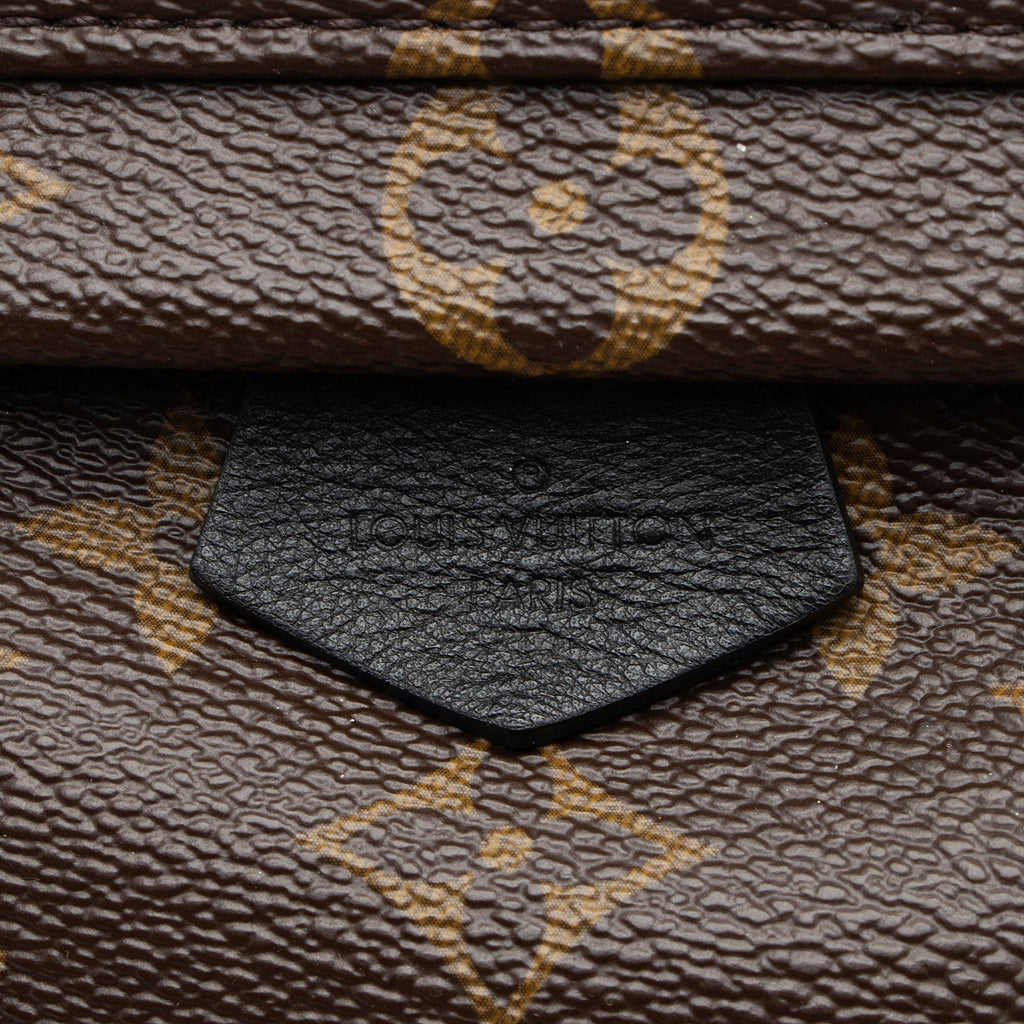 Louis Vuitton Monogram Canvas Palm Springs Mini Backpack