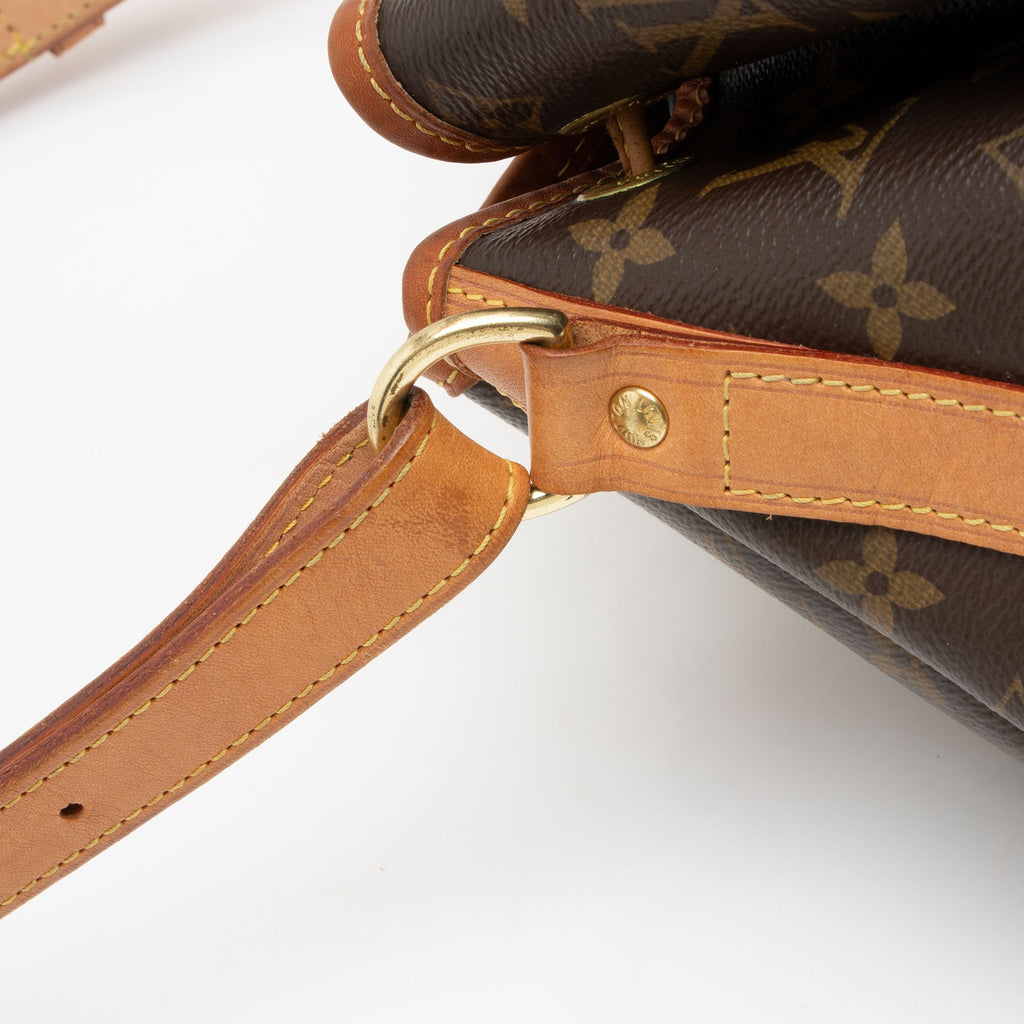 Louis Vuitton Monogram Canvas Petit Noe NM Shoulder Bag