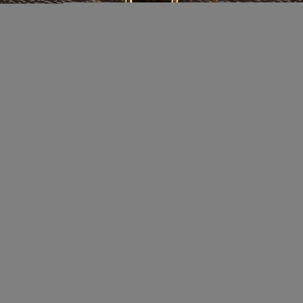 Louis Vuitton Monogram Canvas Petite Malle Souple Satchel