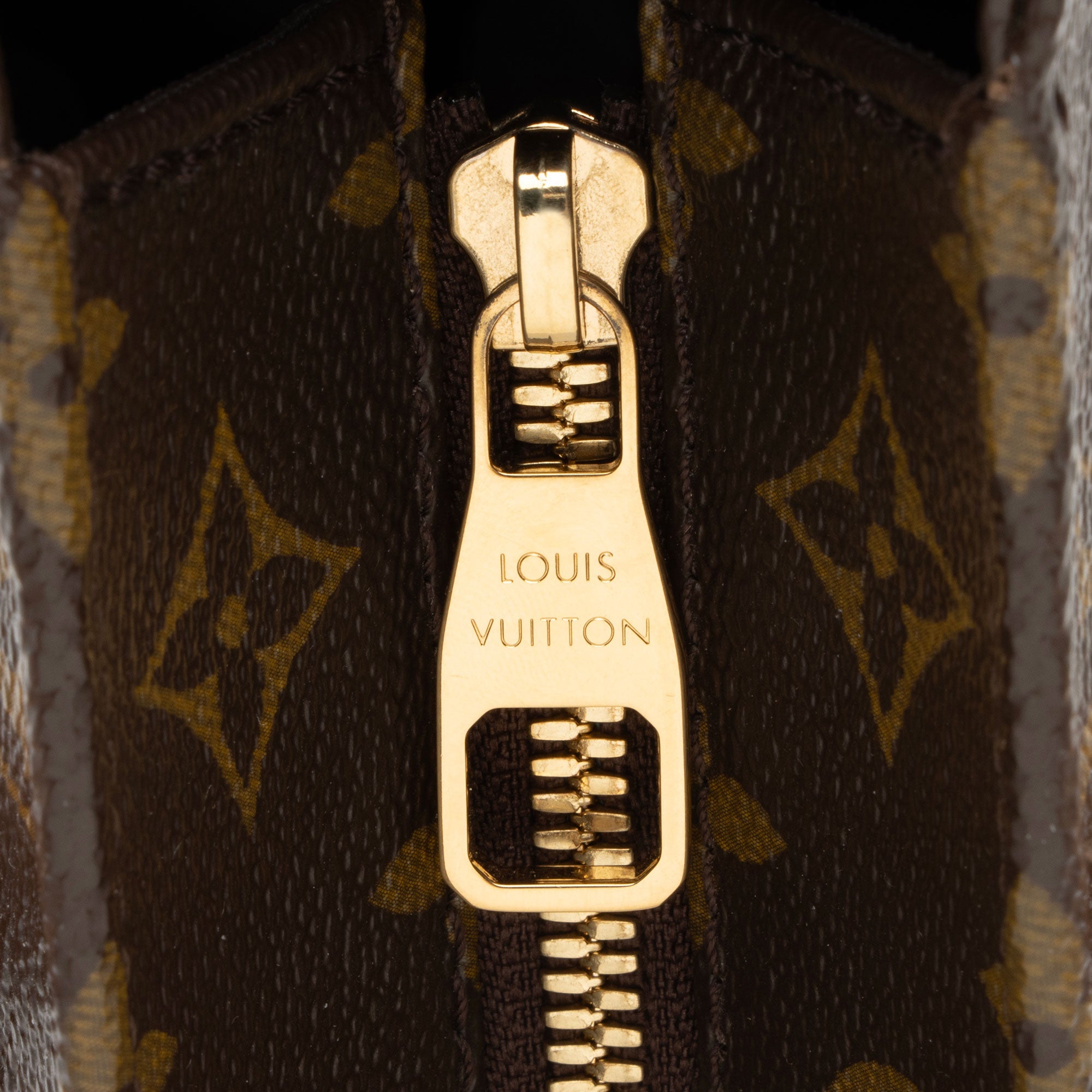 Louis Vuitton Monogram Canvas Raspail PM Tote