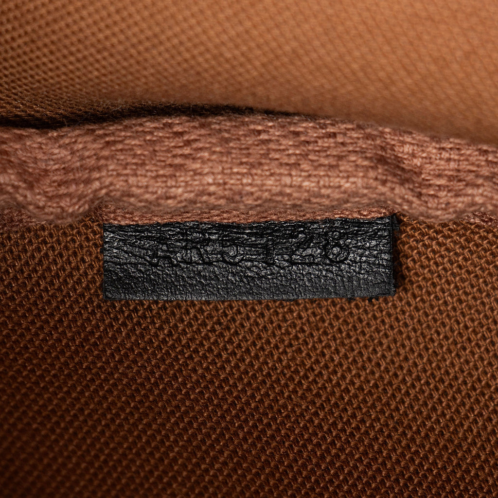 Louis Vuitton Monogram Canvas Solar Ray Papillon Shoulder Bag
