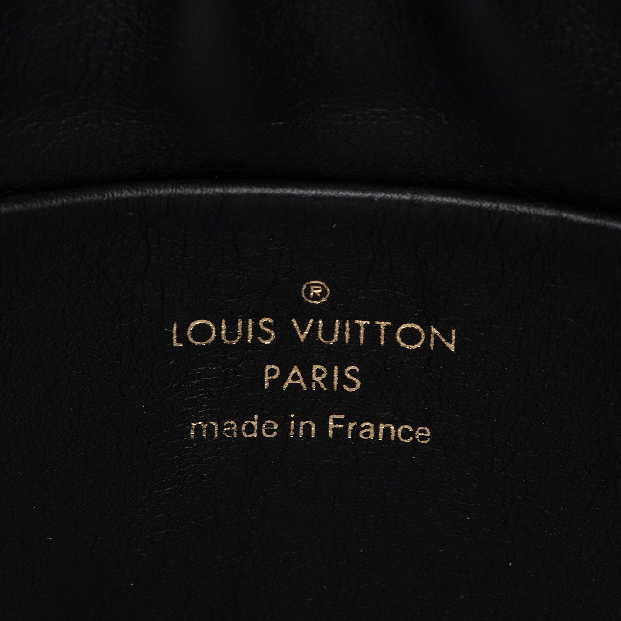 Louis Vuitton Monogram Canvas Thelma Pochette
