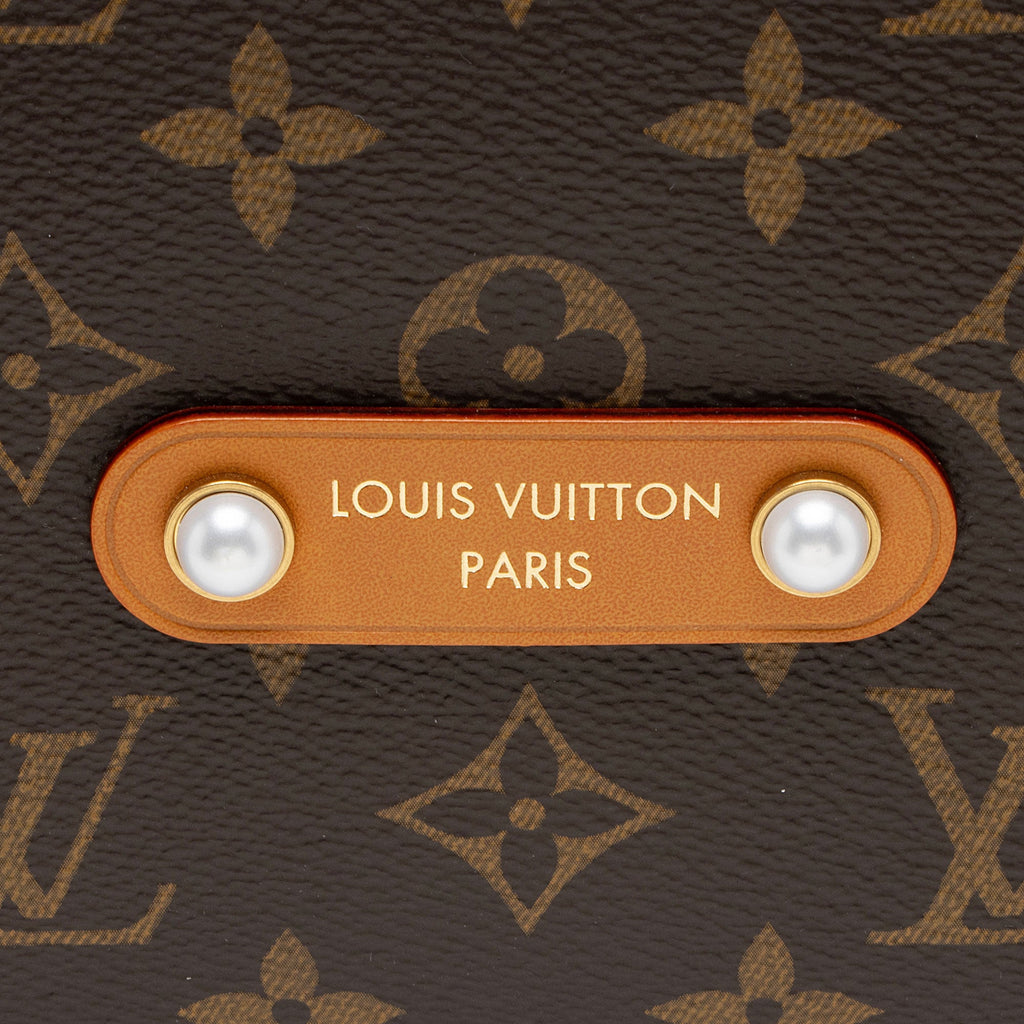 Louis Vuitton Monogram Canvas Vagabond Hobo